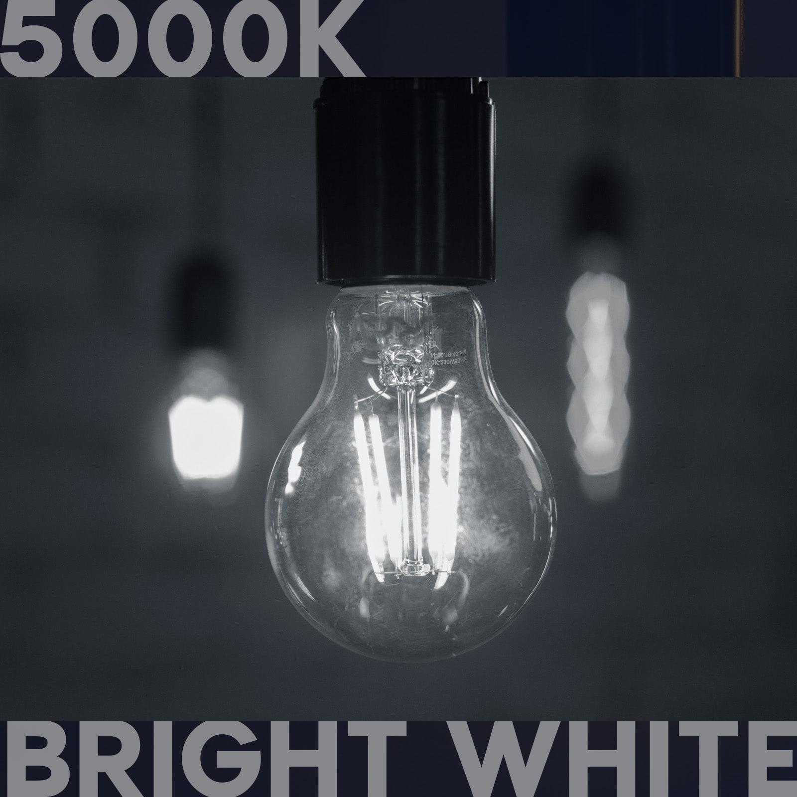 Luxrite Vintage A19 LED Light Bulb 100 Watt Equivalent 1600 Lumens 5000K Bright White Dimmable 12W Damp Rated UL E26 Base 2 Pack