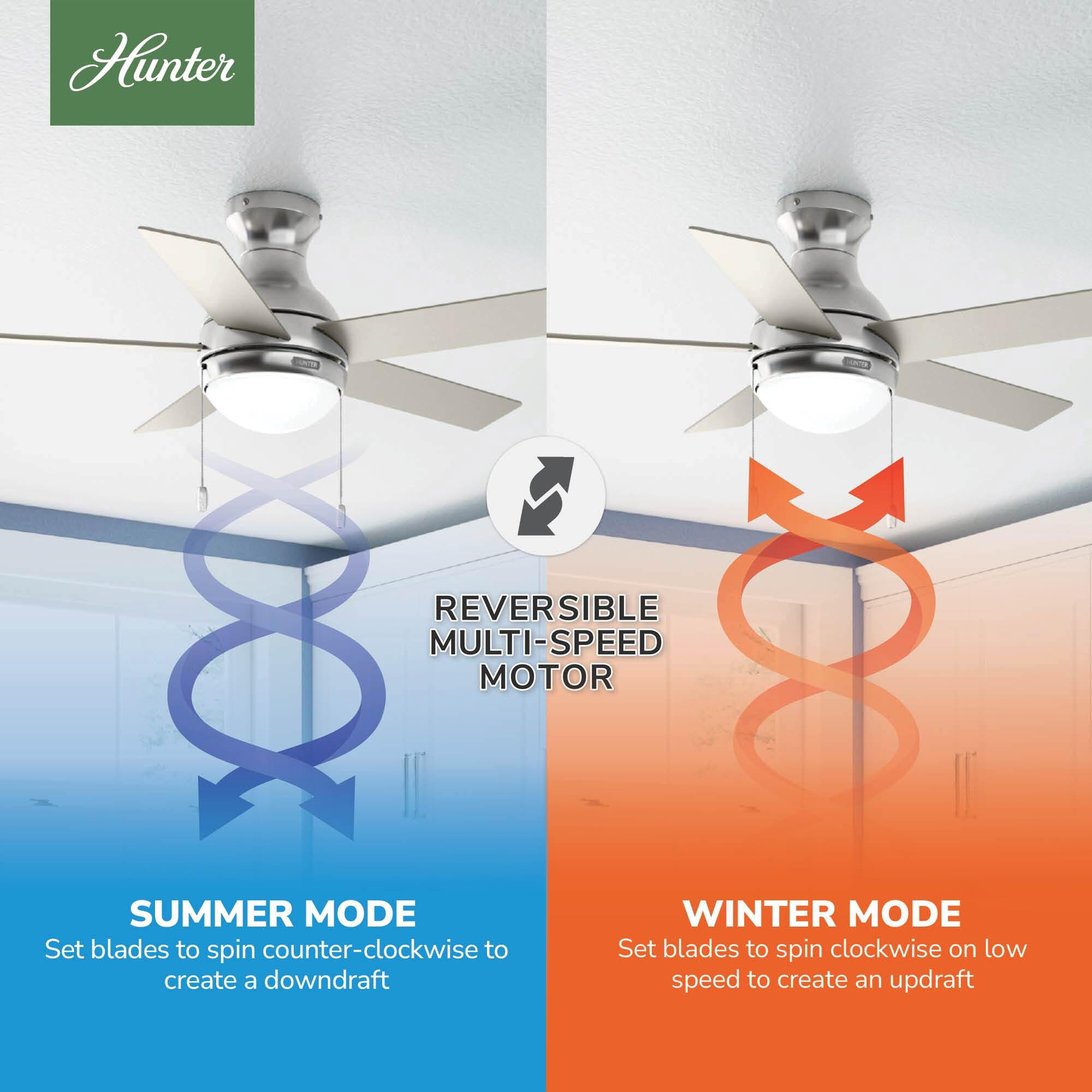 44" Aren 5 - Blade Flush Mount Ceiling Fan with Pull Chain and Light Kit Included
