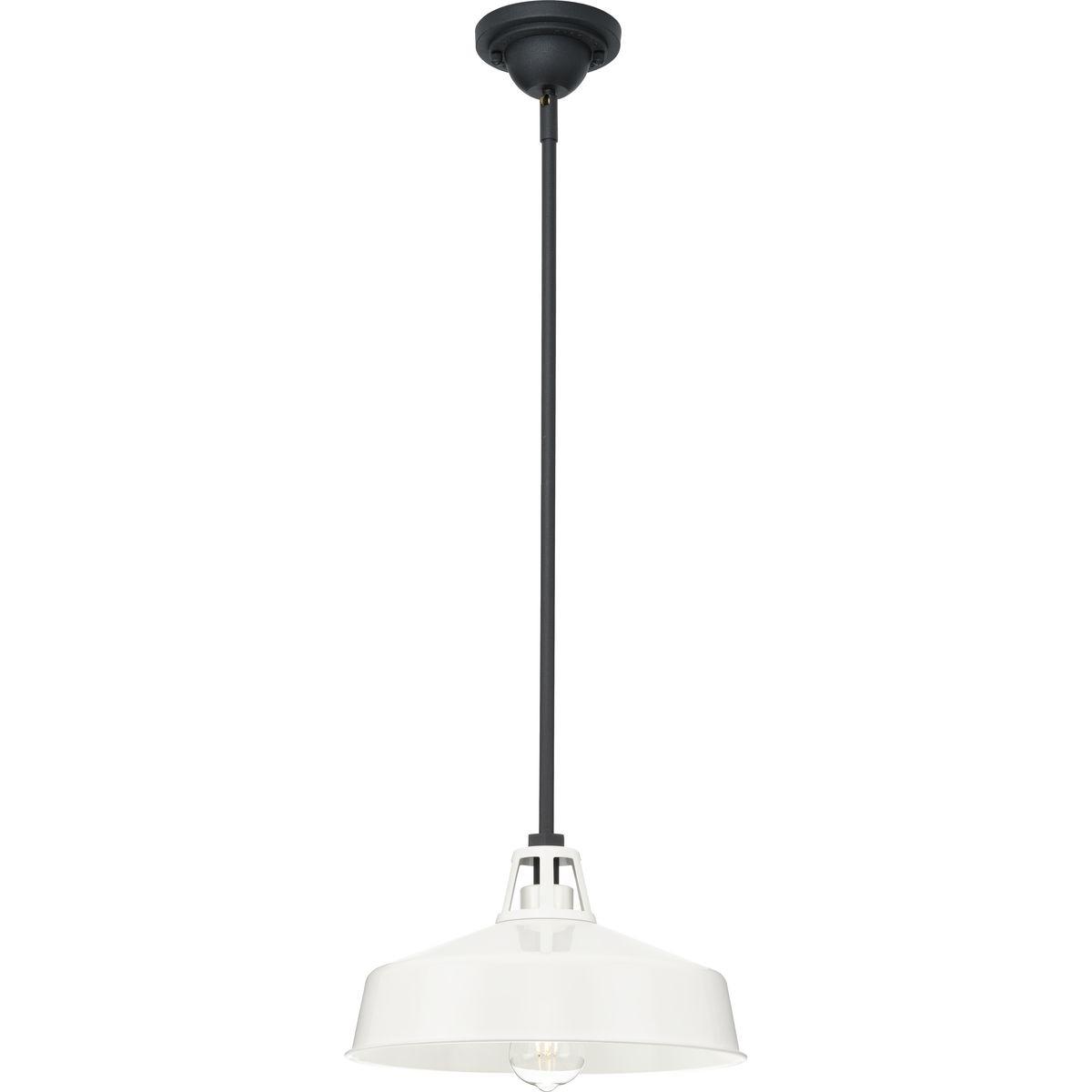 Progress Lighting, Cedar Springs, 1-Light Outdoor Hanging Light, White Finish, Warehouse Shade