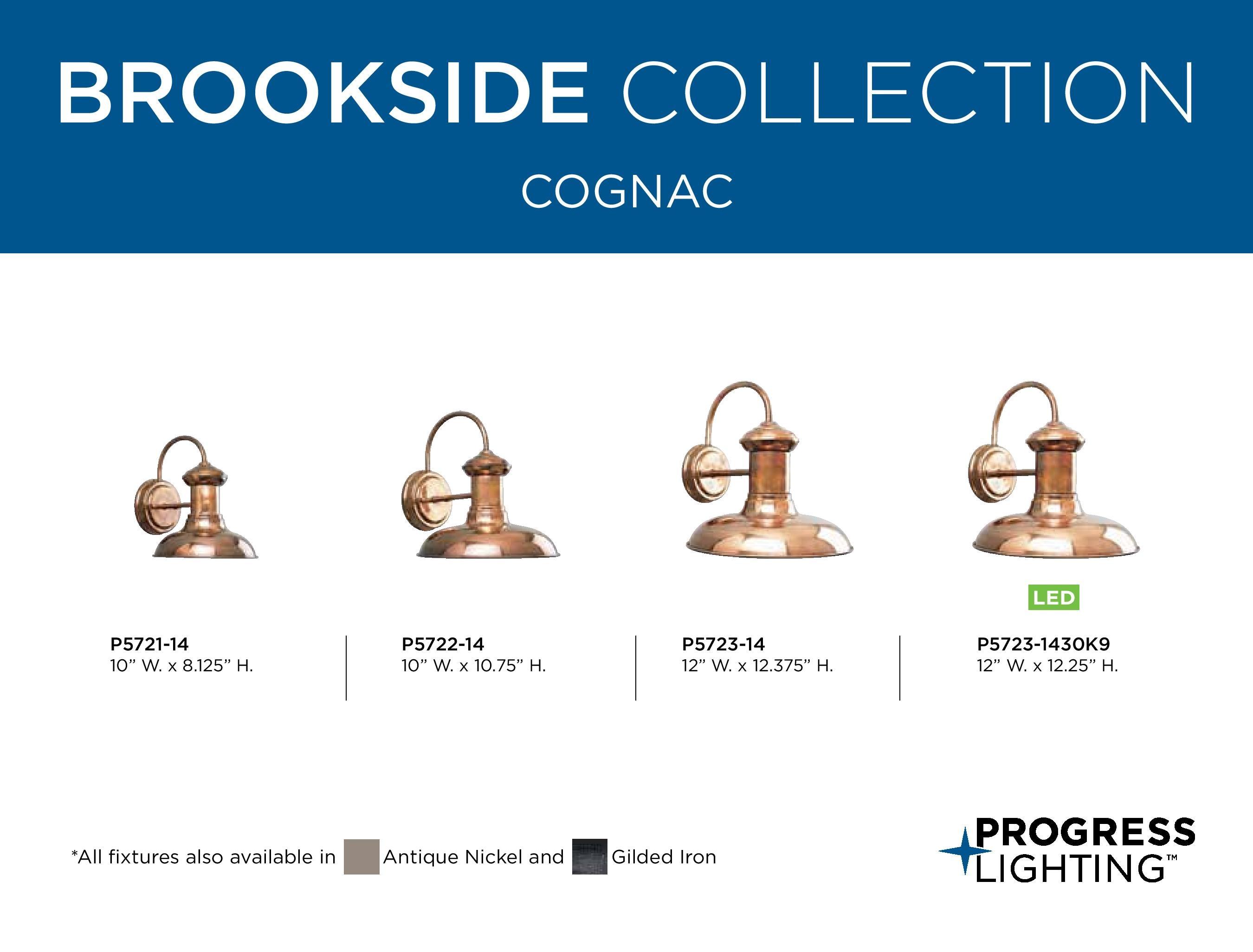 Brookside Collection 8" One-Light Vintage Small Wall Lantern