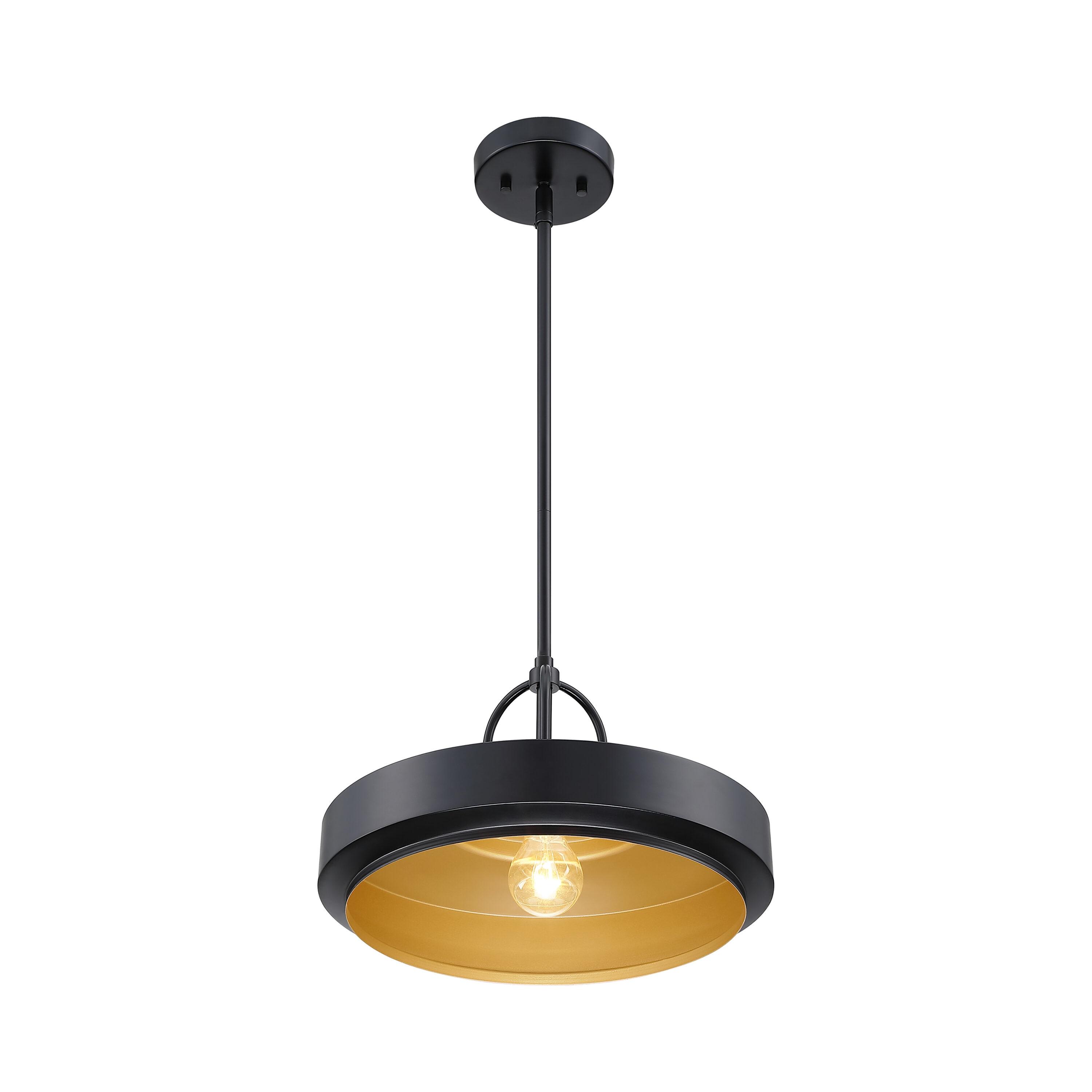 Designers Fountain Odea 14 inch 1-Light Matte Black Transitional Pendant Light, D295M-14P-MB