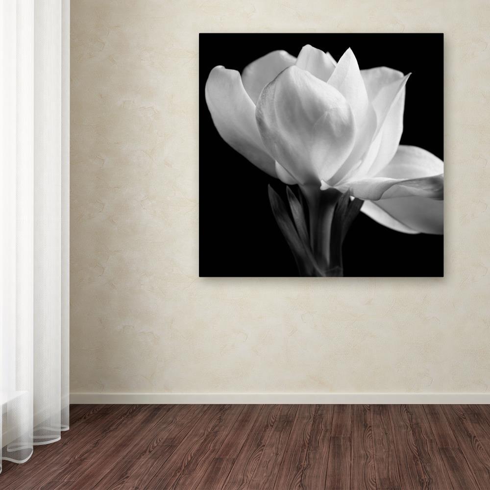 14'' x 14'' Black and White Floral Canvas Art