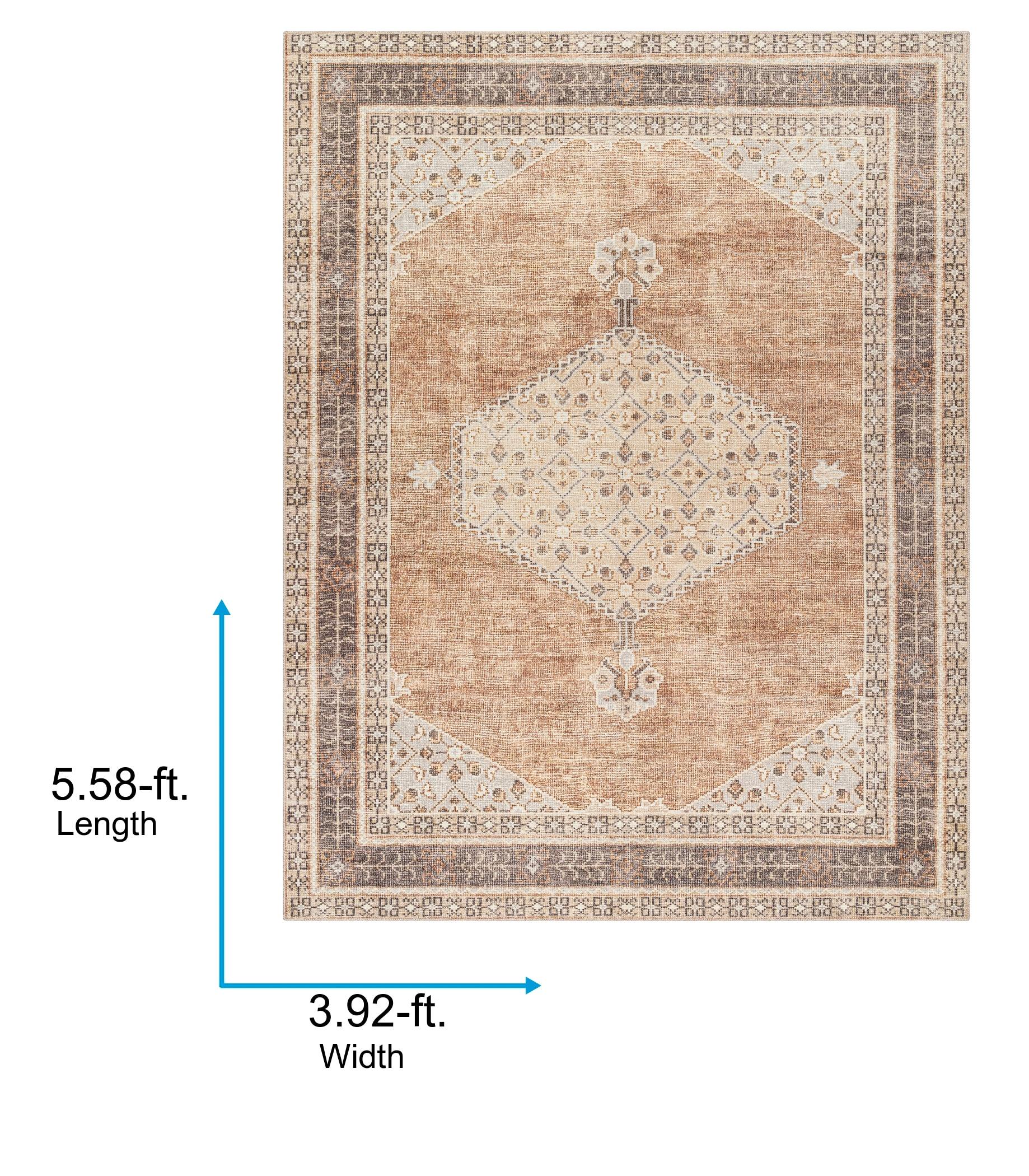 Becki Owens x Livabliss Lila Machine Woven Area Rug