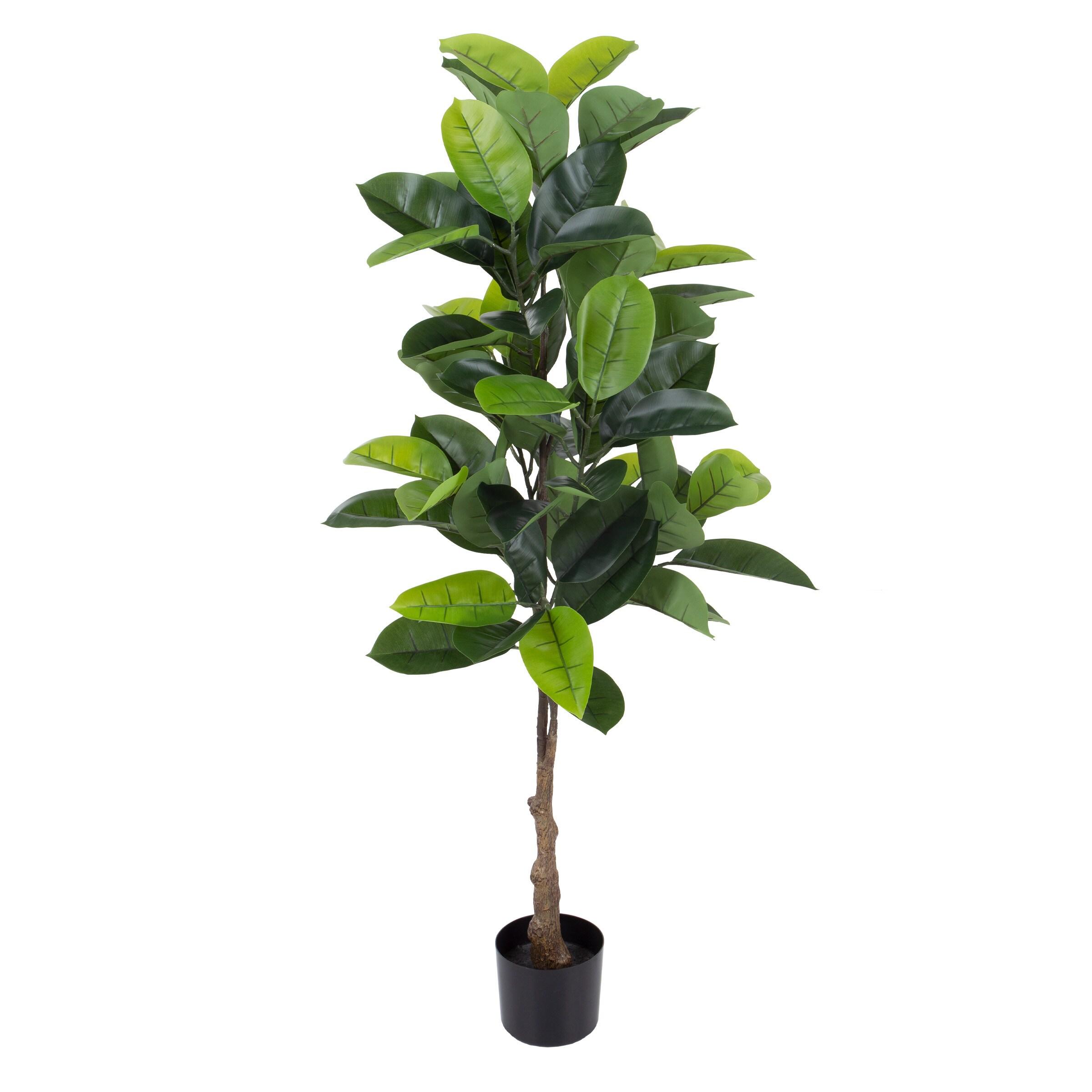Artificial Rubber Plant - 51-Inch Faux Tree with Natural-Feel Leaves - Realistic Potted Indoor Plant for Office or Home Decor by Pure Garden (Green)