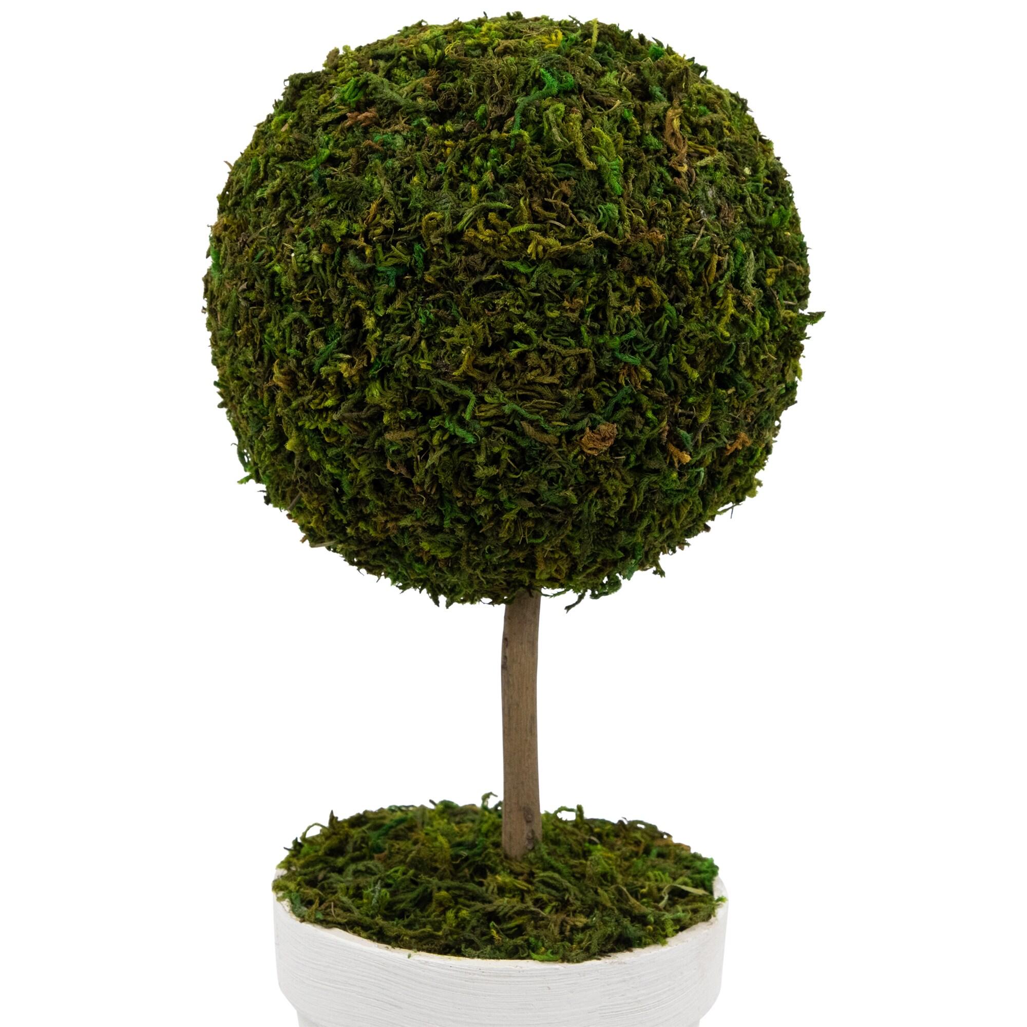 Northlight Seasonal Green Reindeer Moss Ball Potted Artificial Spring Topiary Tree