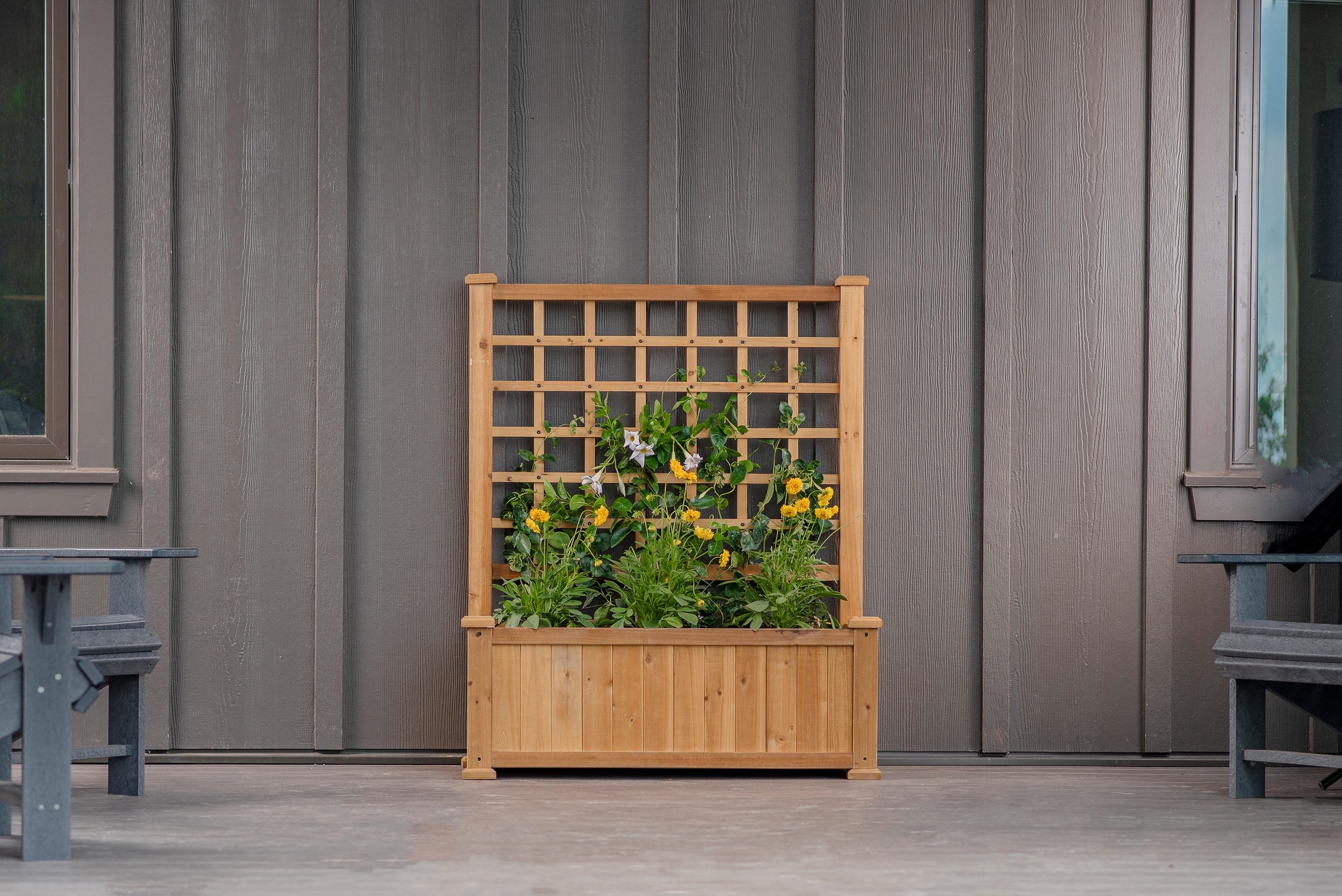 Rosewood 46.75'' H x 38.13'' Wood Planter with Trellis