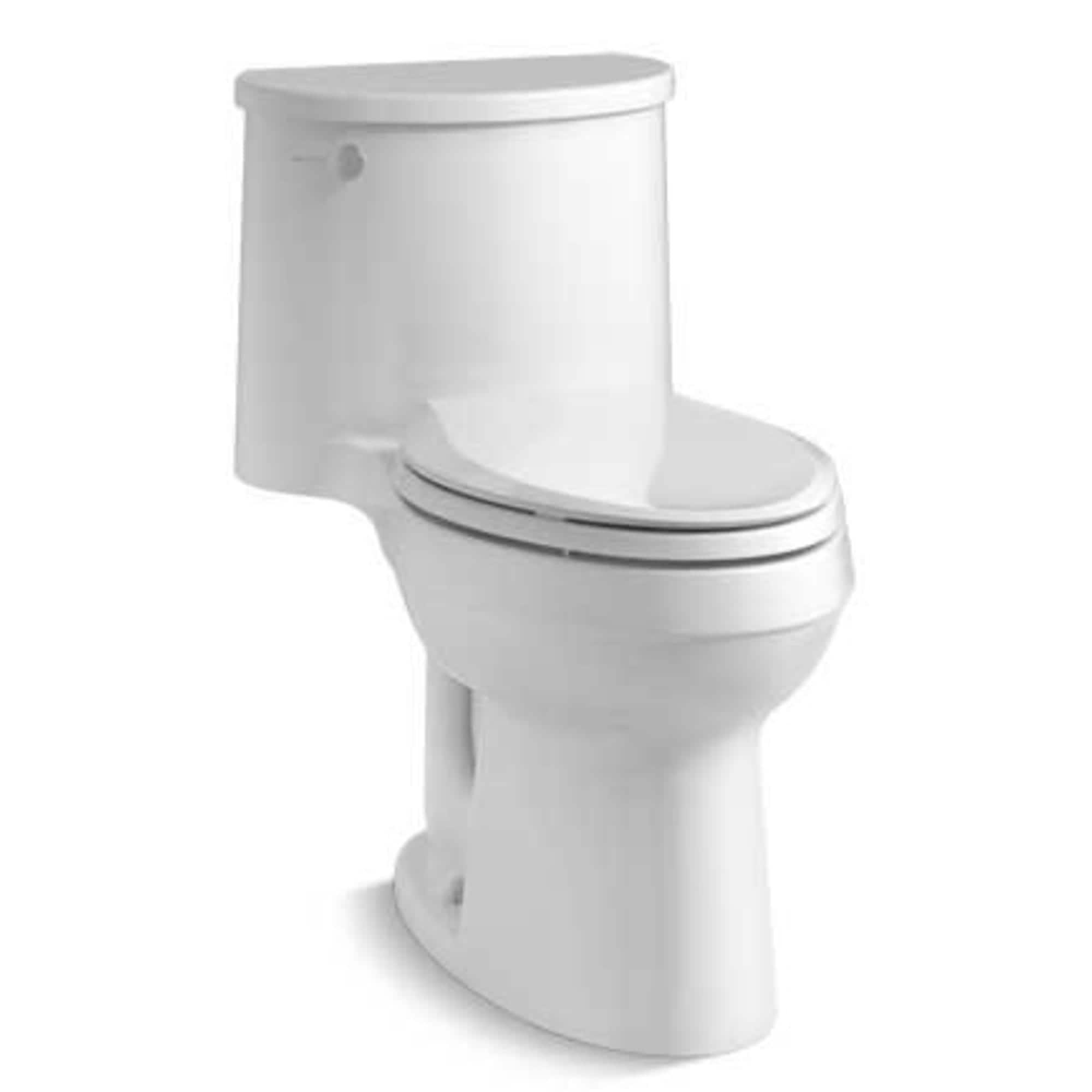 Adair 1.28 GPF Water Efficient Elongated One-Piece toilet (Seat Included)