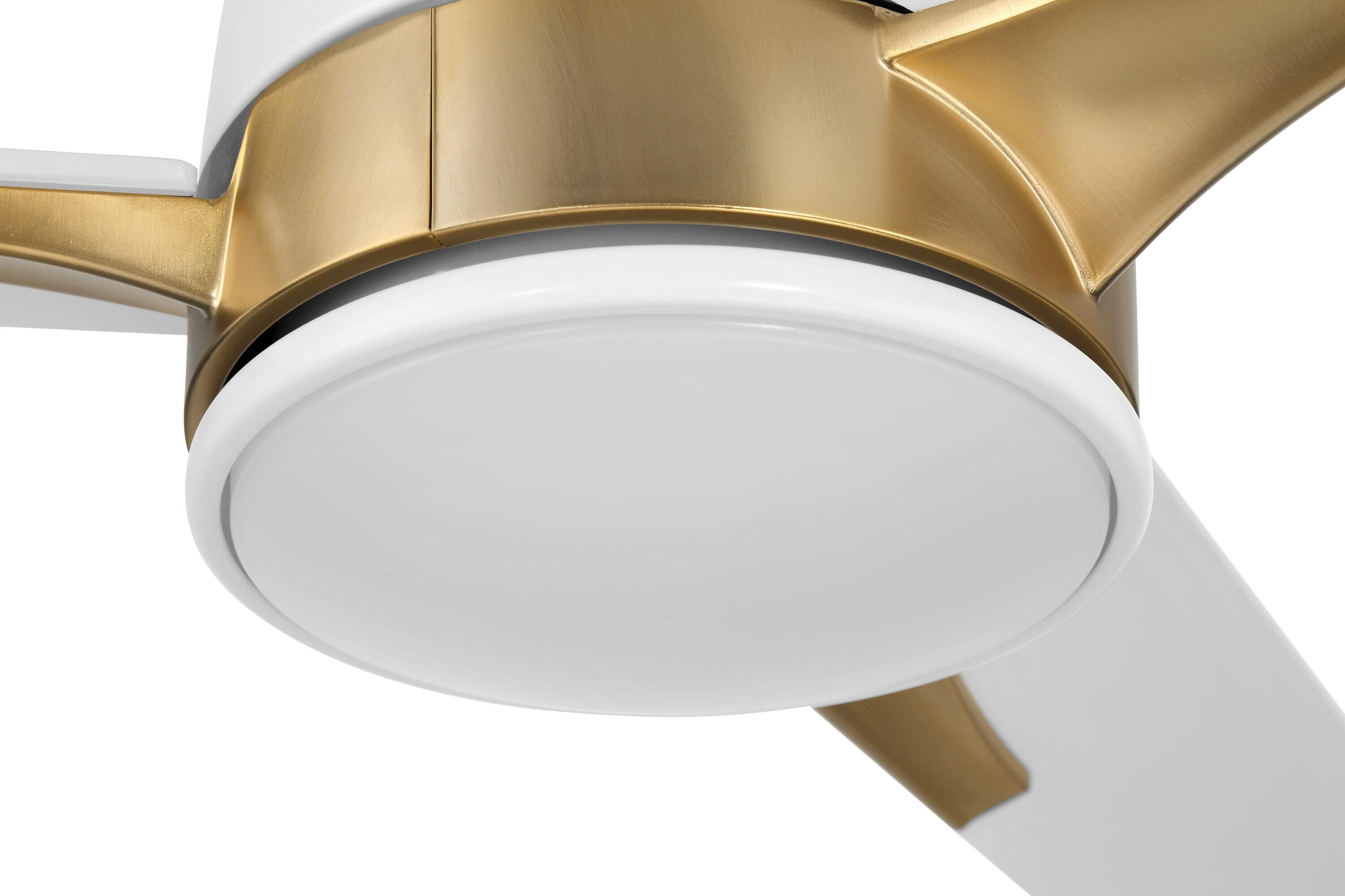 Latitude Run® Eiladh 52" Ceiling Fan with LED Lights & Wall Control
