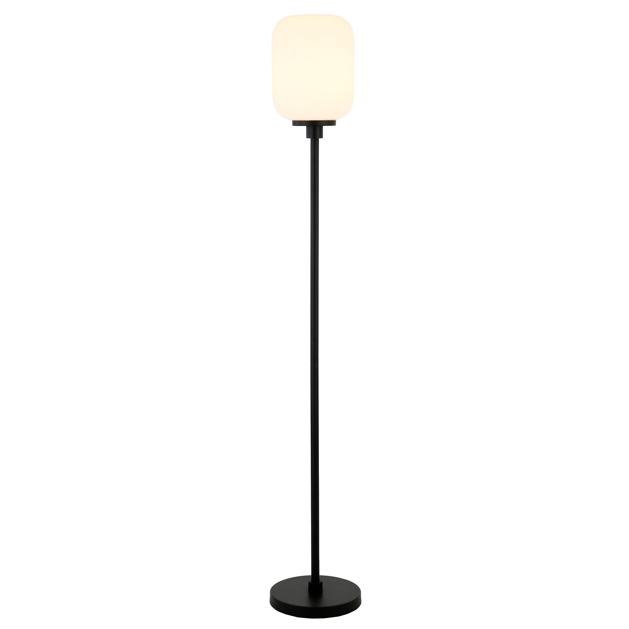 Evelyn&Zoe Agnolo 69" Tall Floor Lamp with Glass shade in Blackened Bronze/White Milk
