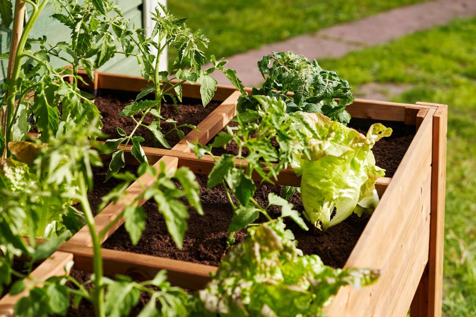 Tierra Garden Rectangular Raised Bed with Shelf