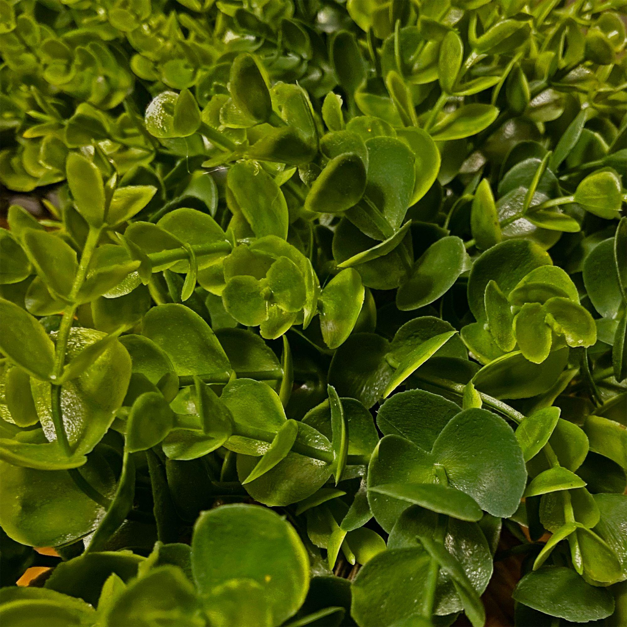 Haute Decor 24-in H Any occasion Hanging decoration Wreath