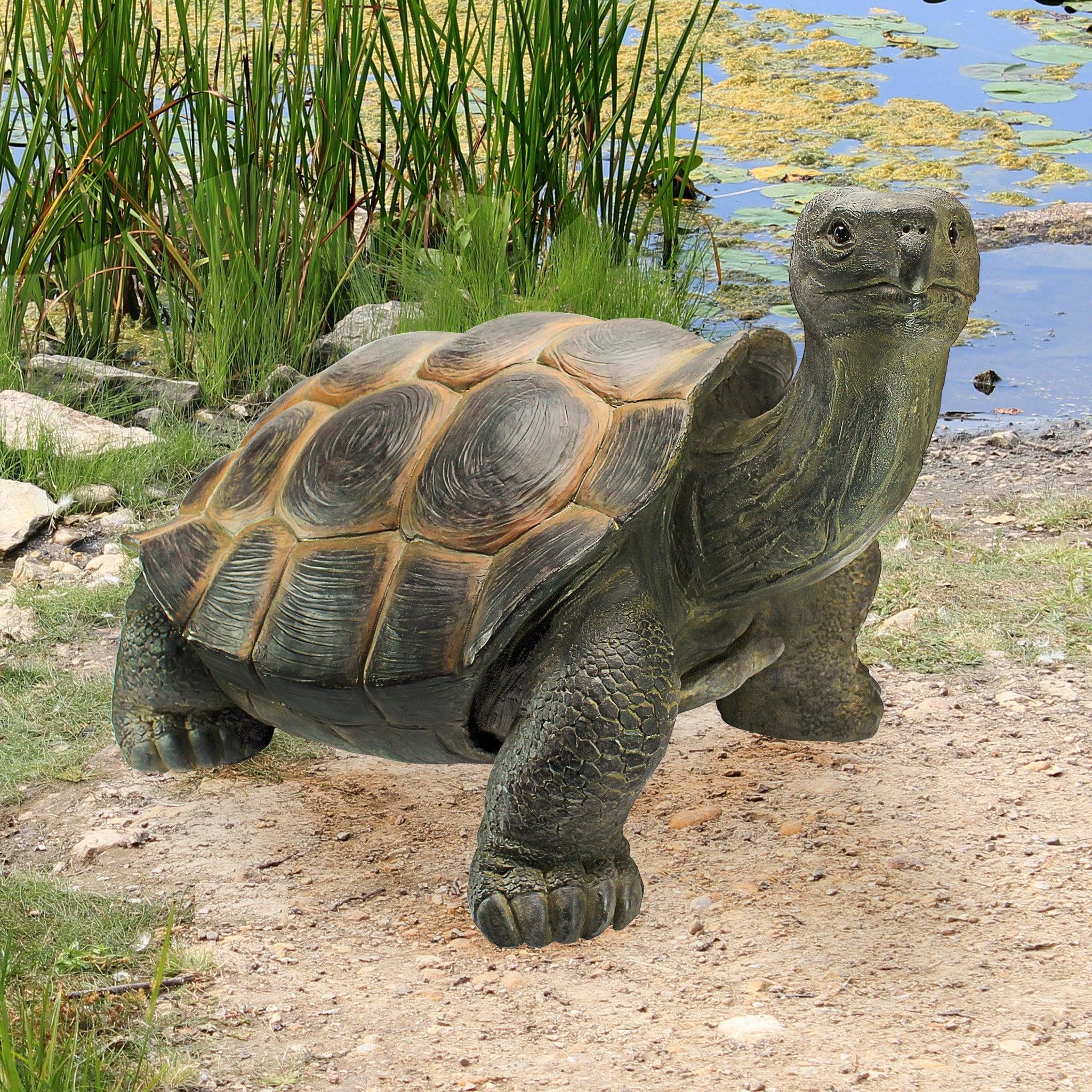 Design Toscano The Cagey Tortoise Statue