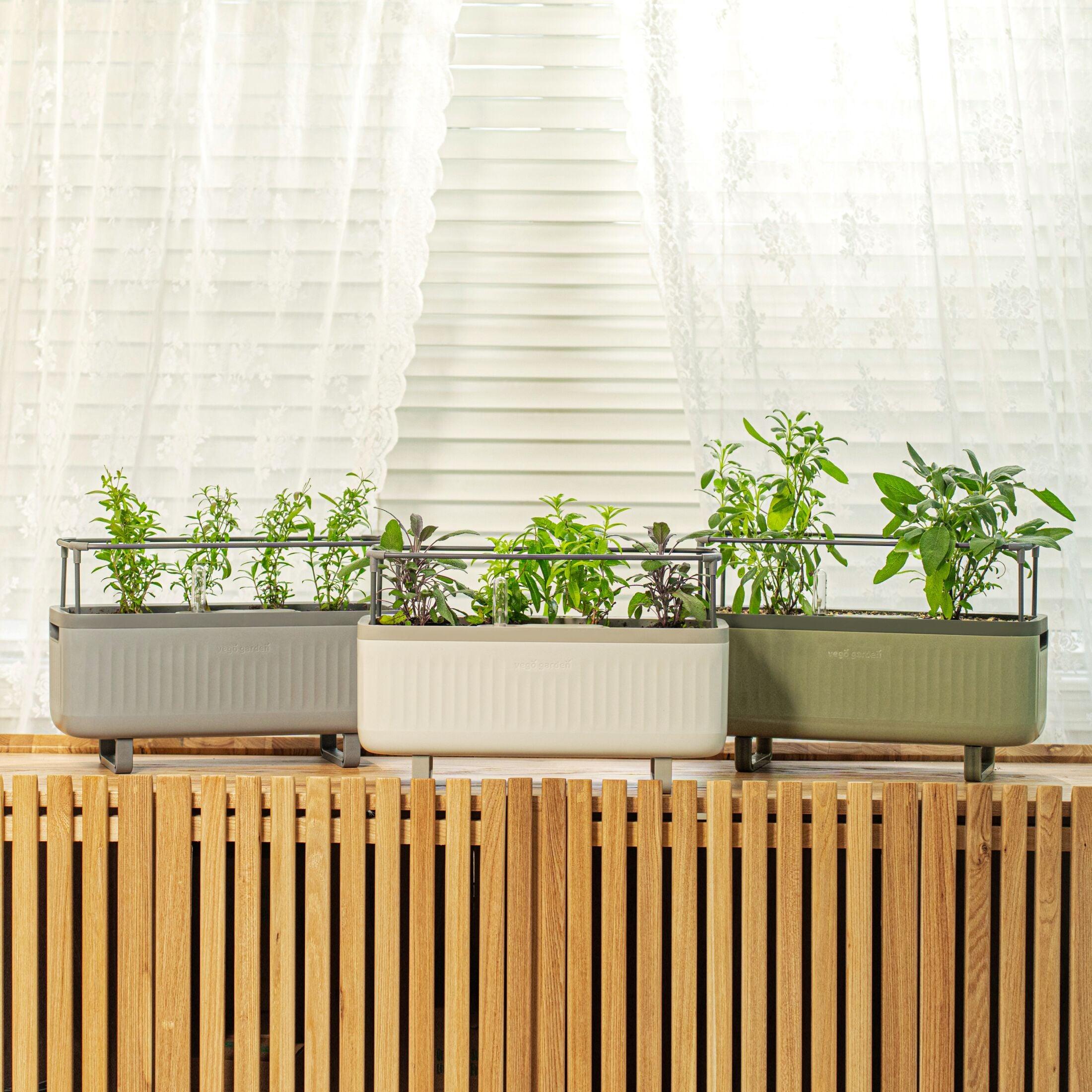 Vego Garden Mini Herb Plastic Outdoor Pot Planter with Trellis