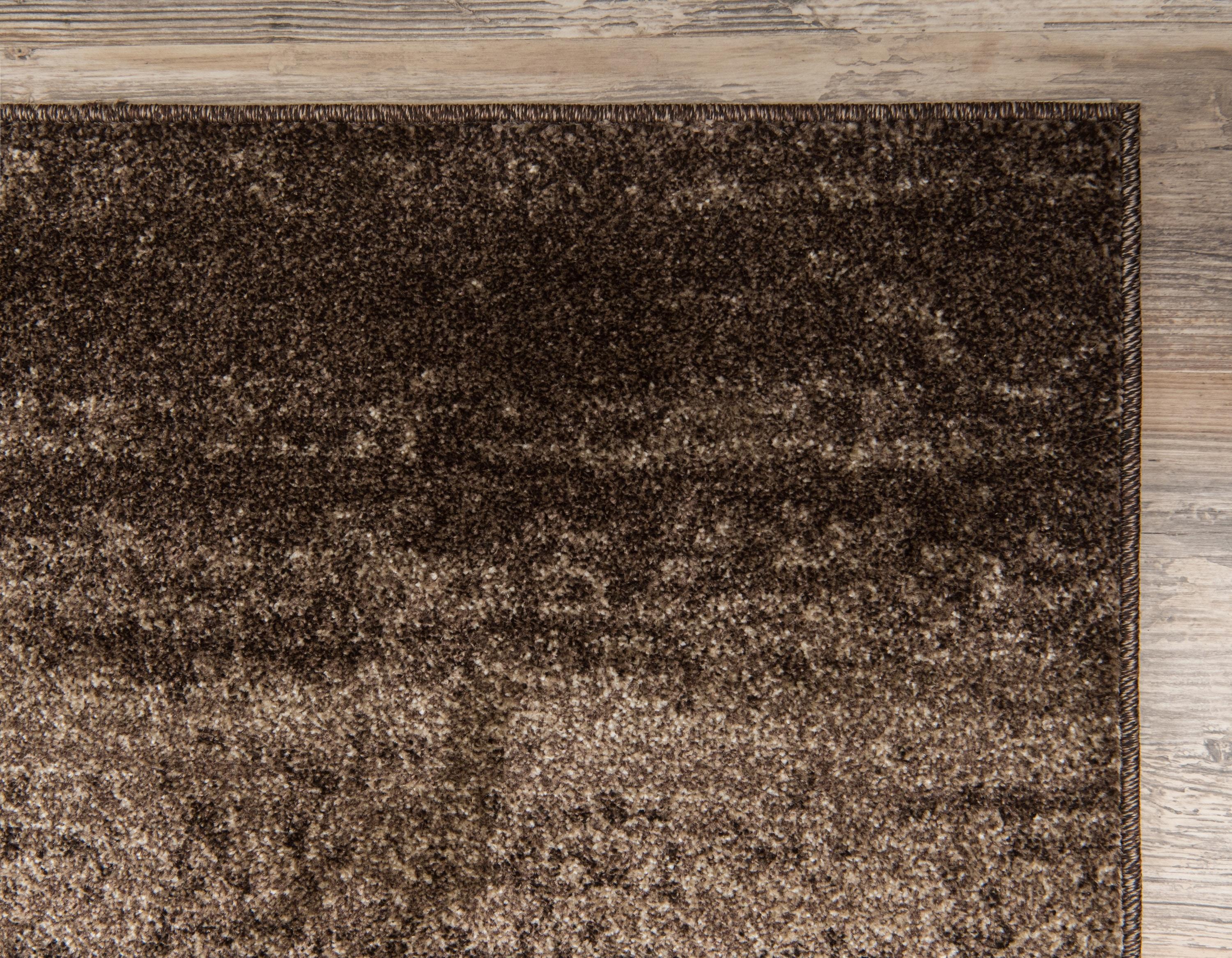 Unique Loom Del Mar Collection Area Rug - Lucille (5' 3" x 8' Rectangle Brown/Ivory)