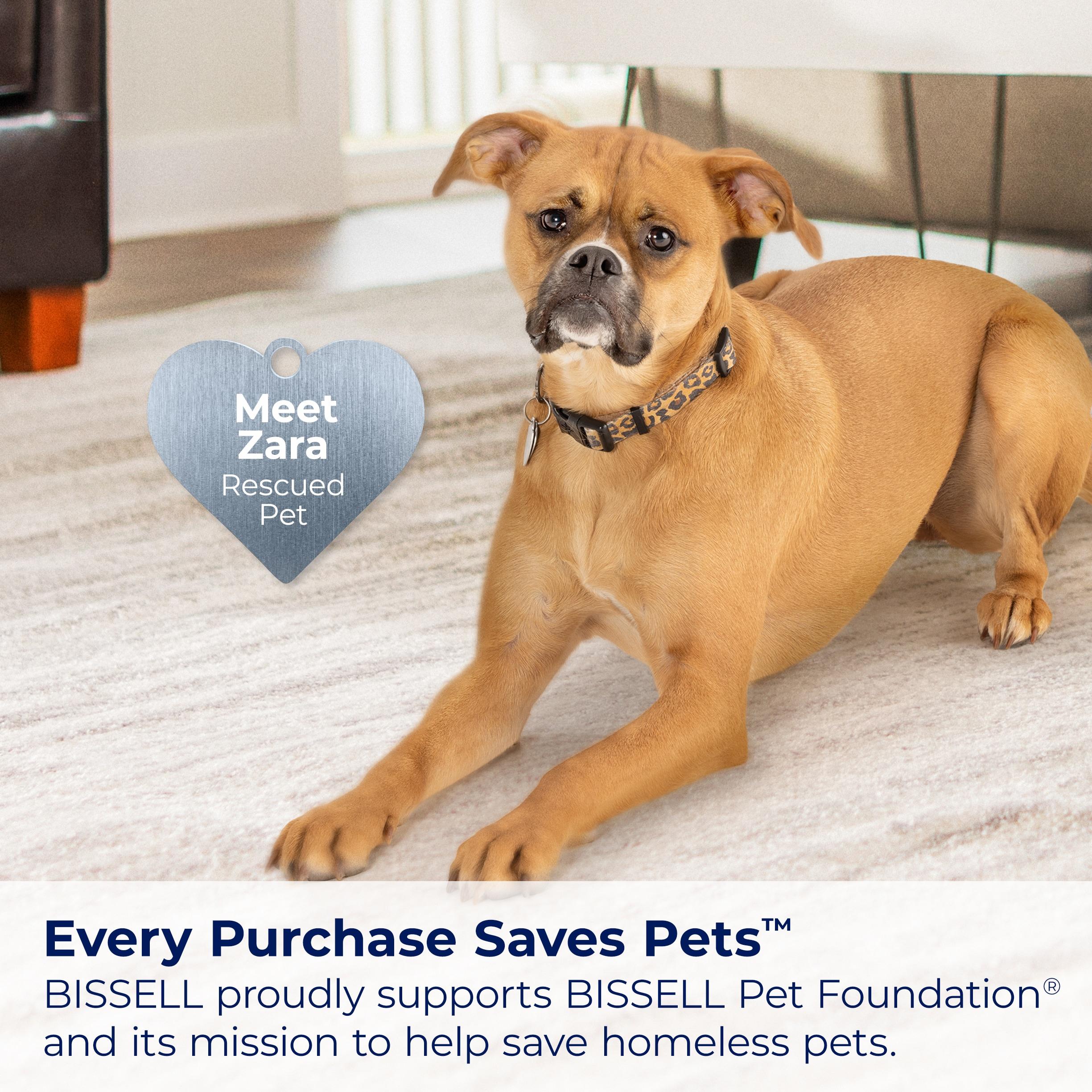 BISSELL CleanView Swivel Pet 3832