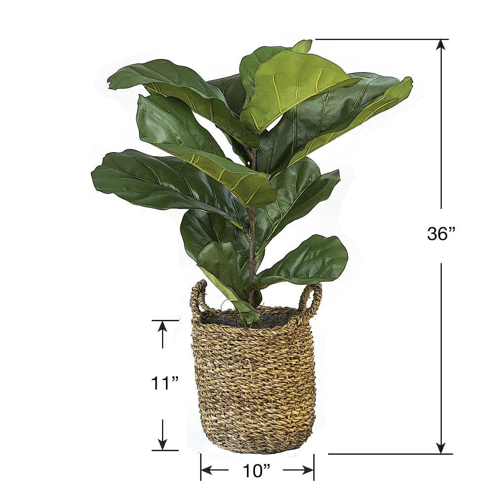 36" x 18" Artificial Fiddle Leaf Fig Plant in Basket - LCG Florals: Faux Fig, Indoor Polyester Decor, Wicker Basket