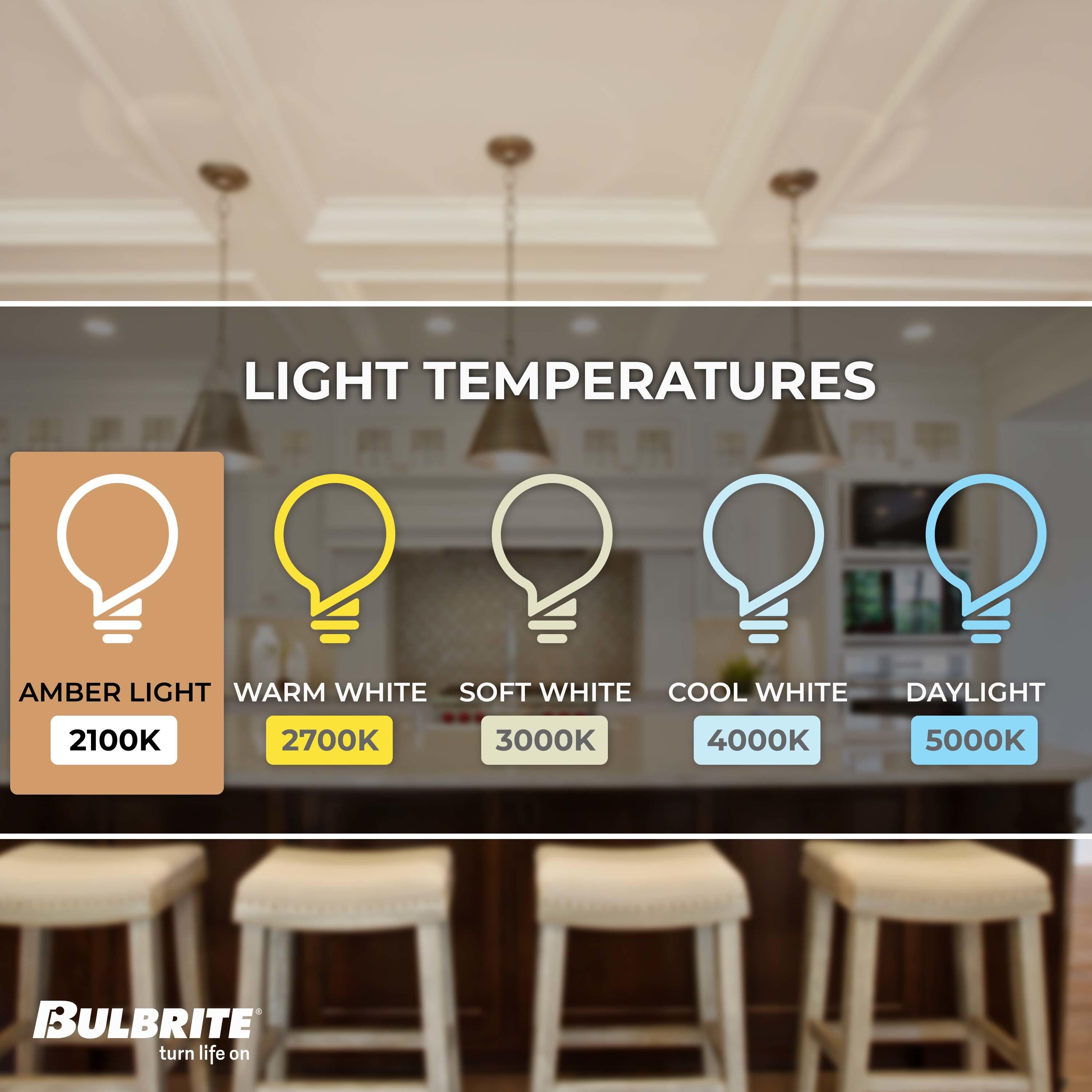 40 Watt BT27 Incandescent, Antique Dimmable Light Bulb, (2200K) E26/Medium (Standard) Base