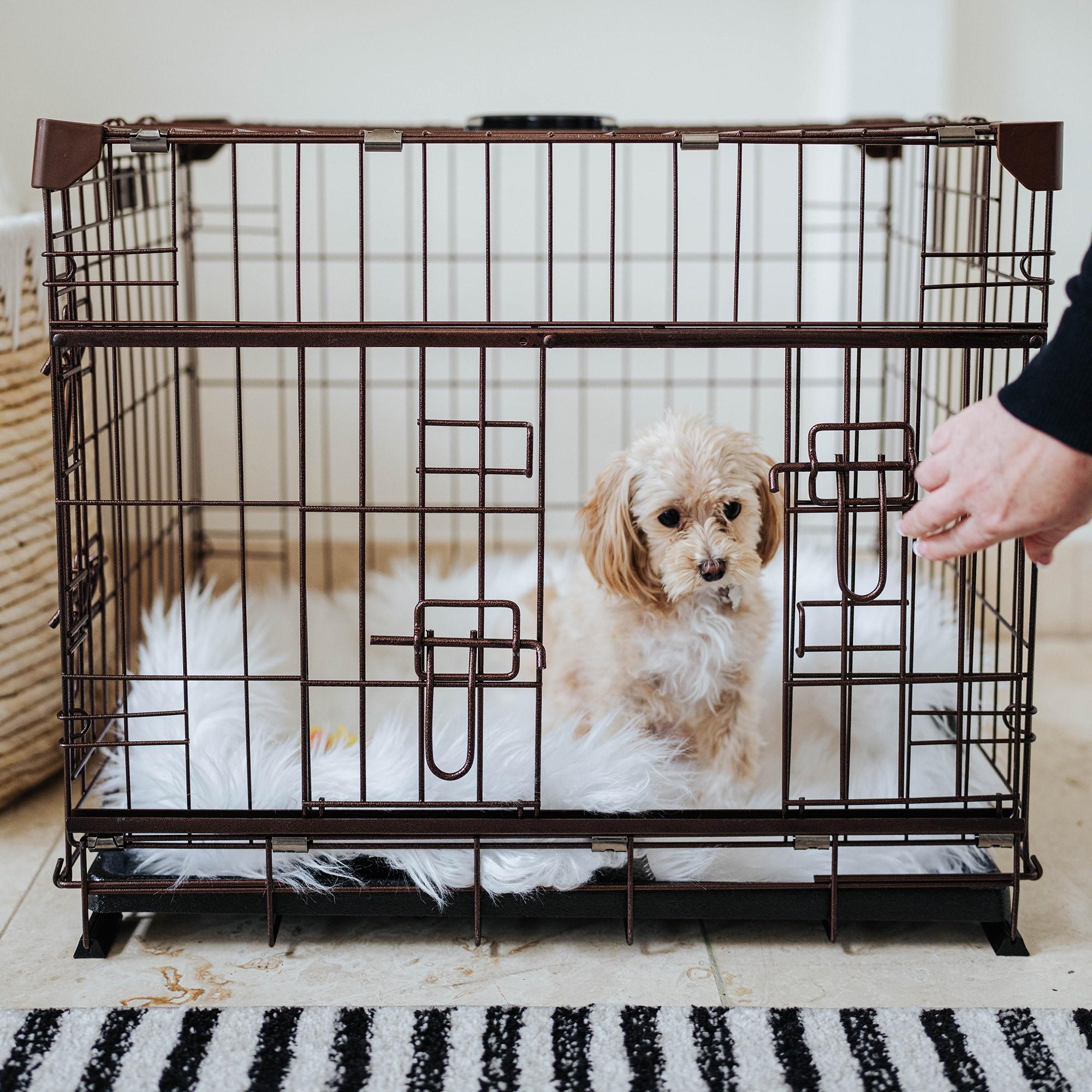 Lucky Dog Lucky Dog Dwell Series Crate - Bronze Finish