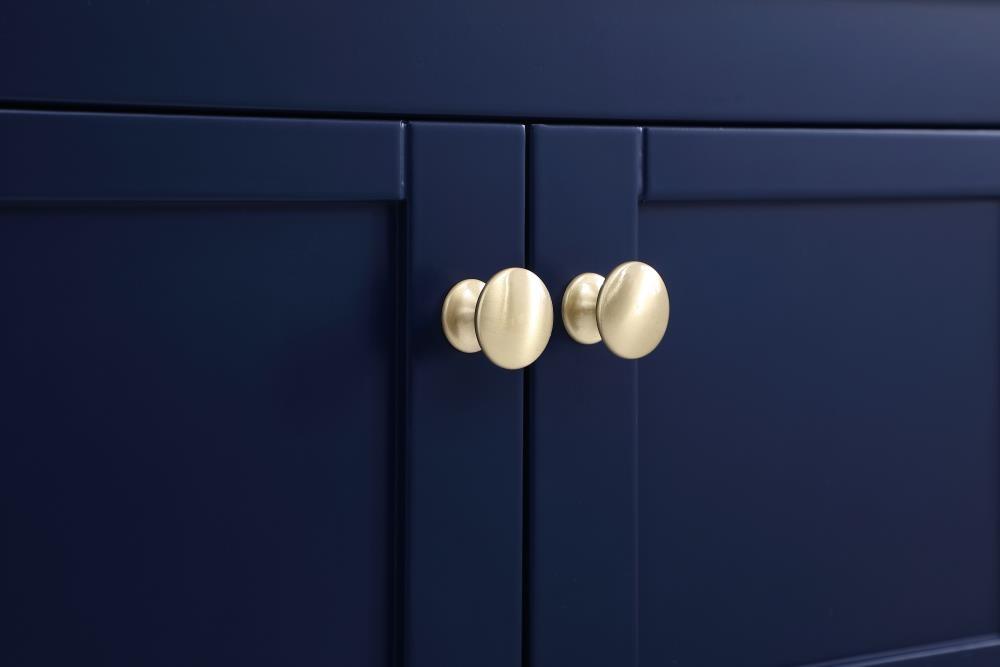 Elegant Decor Theo 48" Steel and Solid Wood Single Bathroom Vanity in Blue