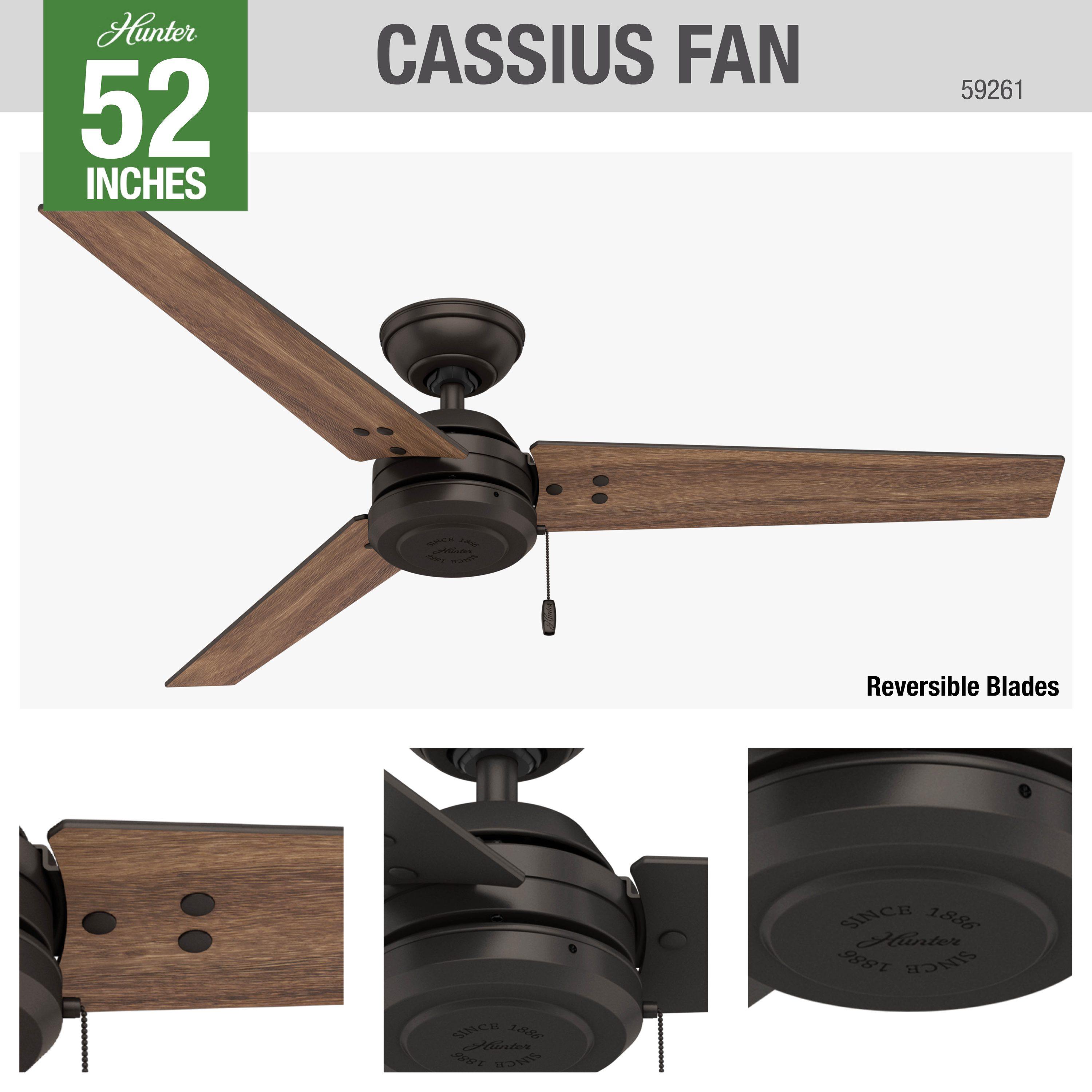 52" Cassius 3 - Blade Outdoor Standard Ceiling Fan with Pull Chain