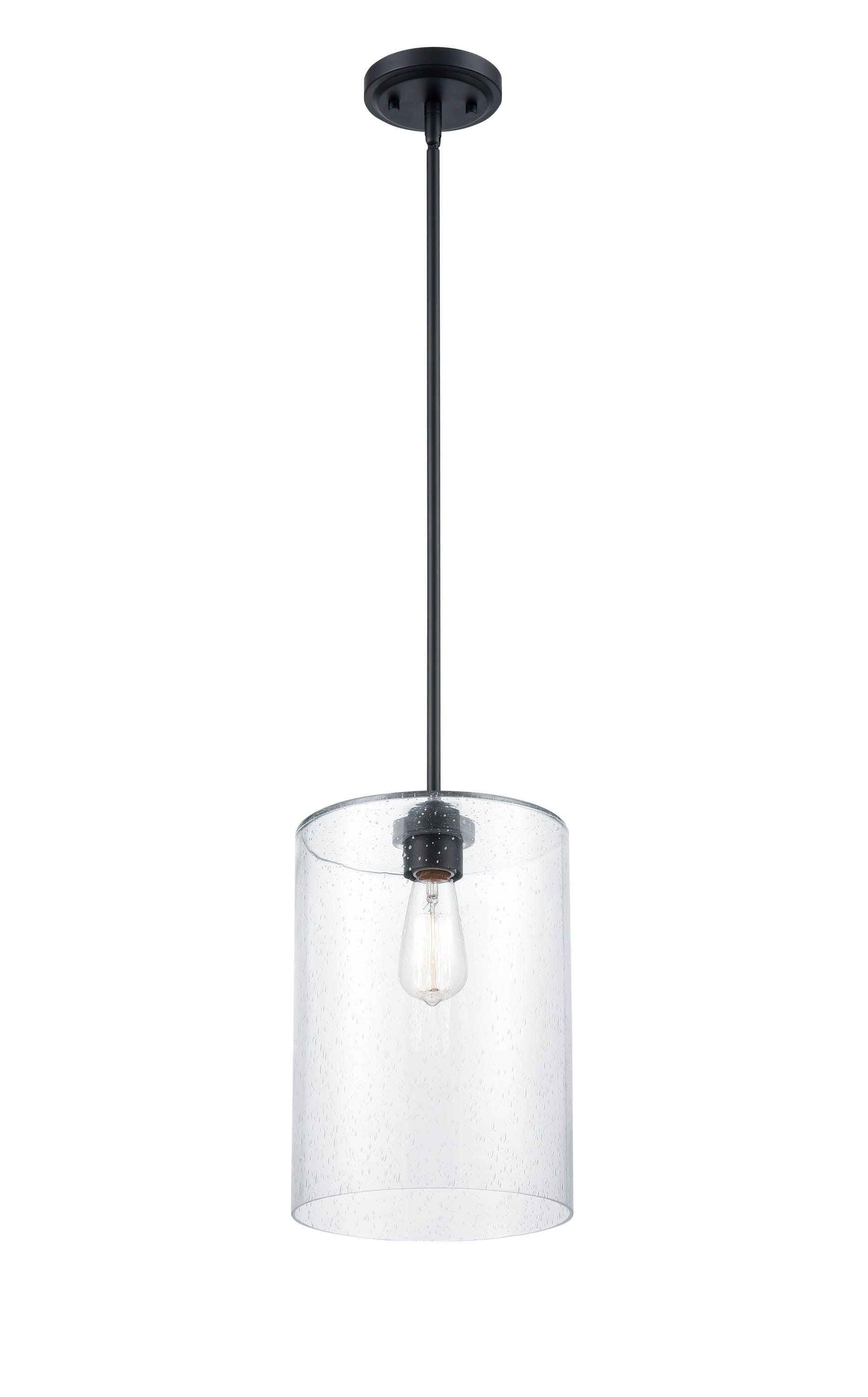1 - Light Unique/Statement Pendant
