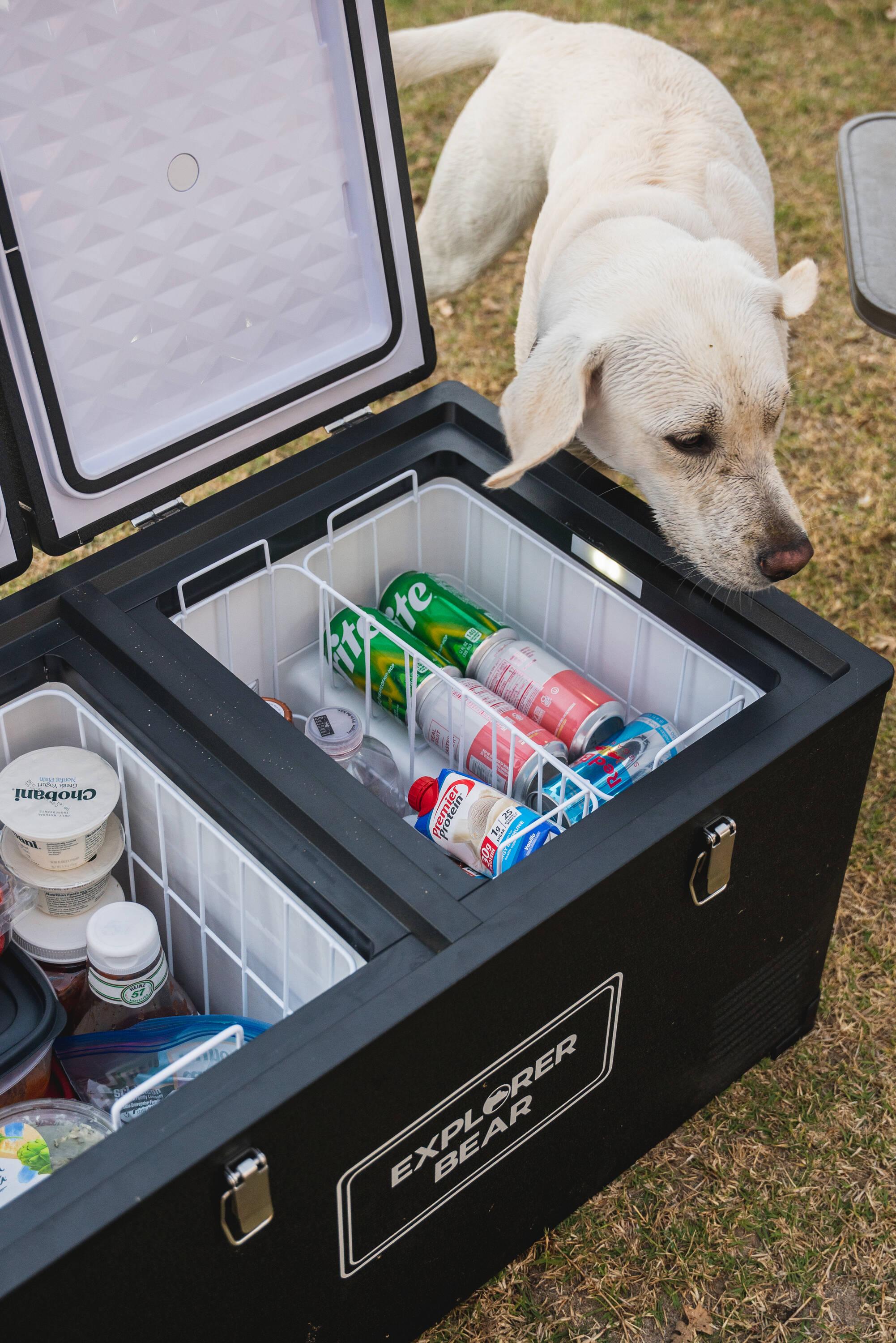 Explorer Bear EX75DB/75DW 79.3QT/75L 12/24V Portable Dual Zone Electric Cooler - Black