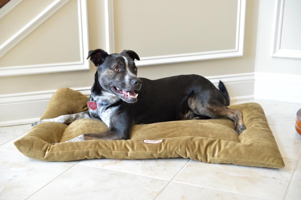 Armarkat Velvet Pet Bed