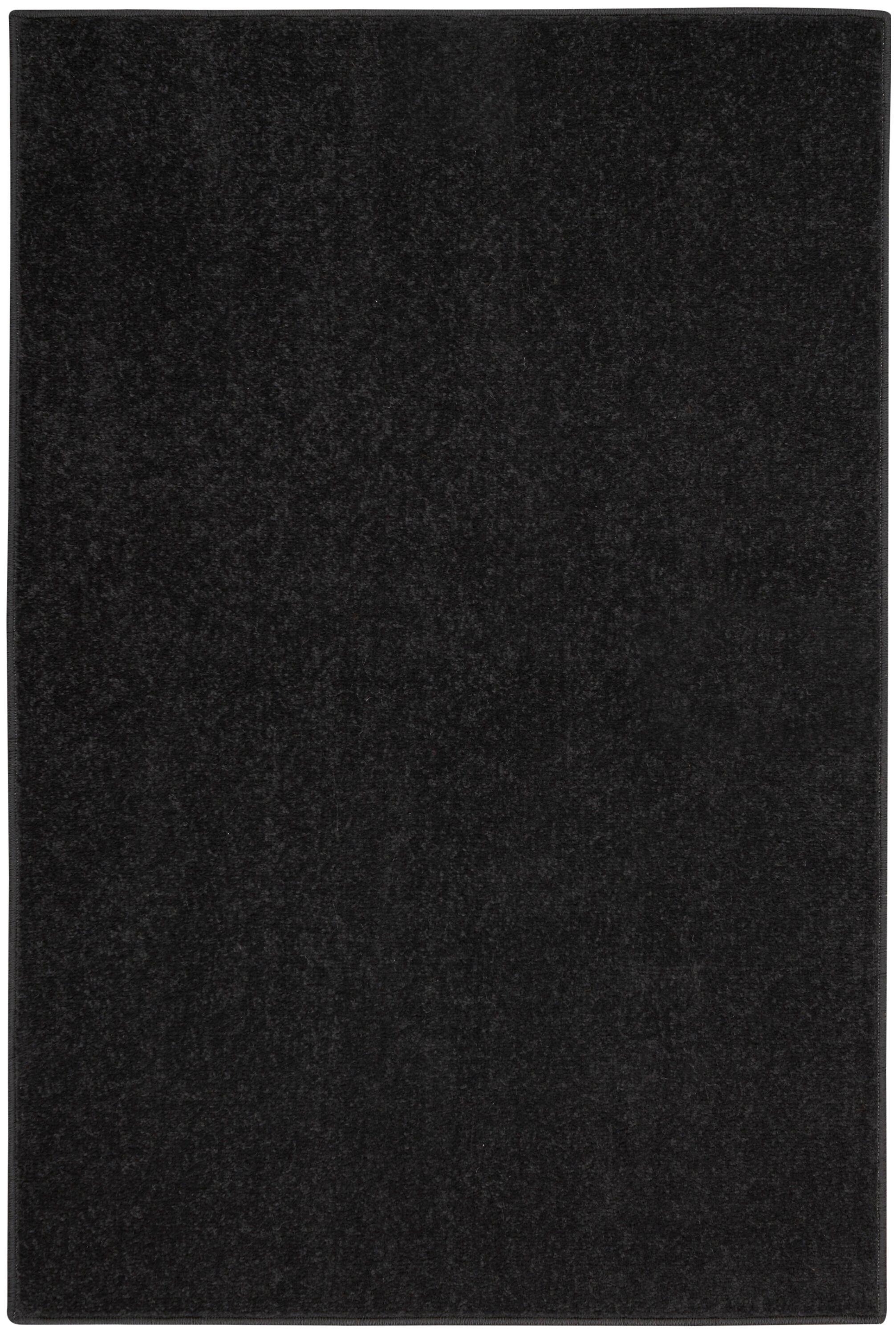 Nourison Essentials Easy Care Indoor Outdoor Area Rug - Black 2' x 4'