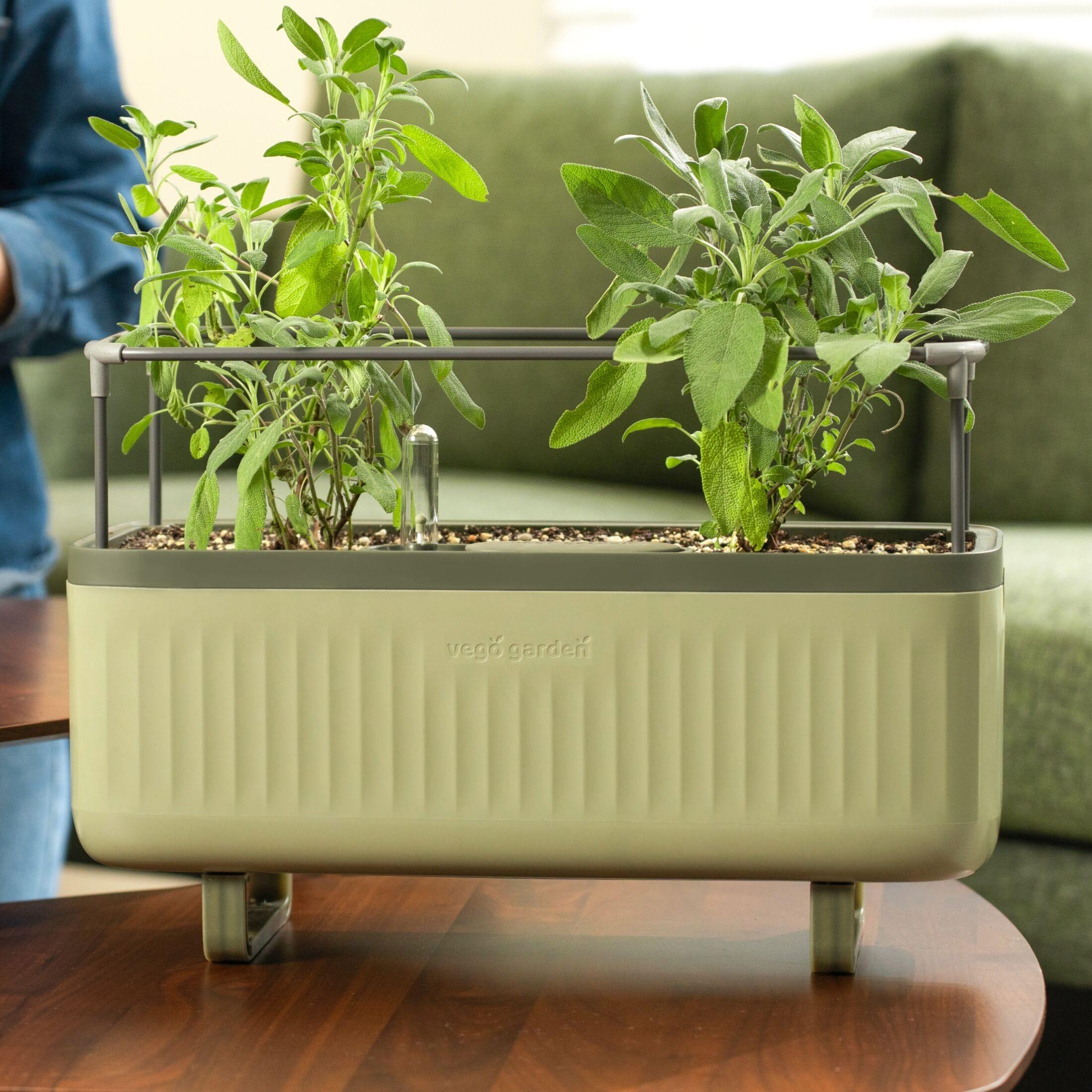 Vego Garden Mini Herb Plastic Outdoor Pot Planter with Trellis