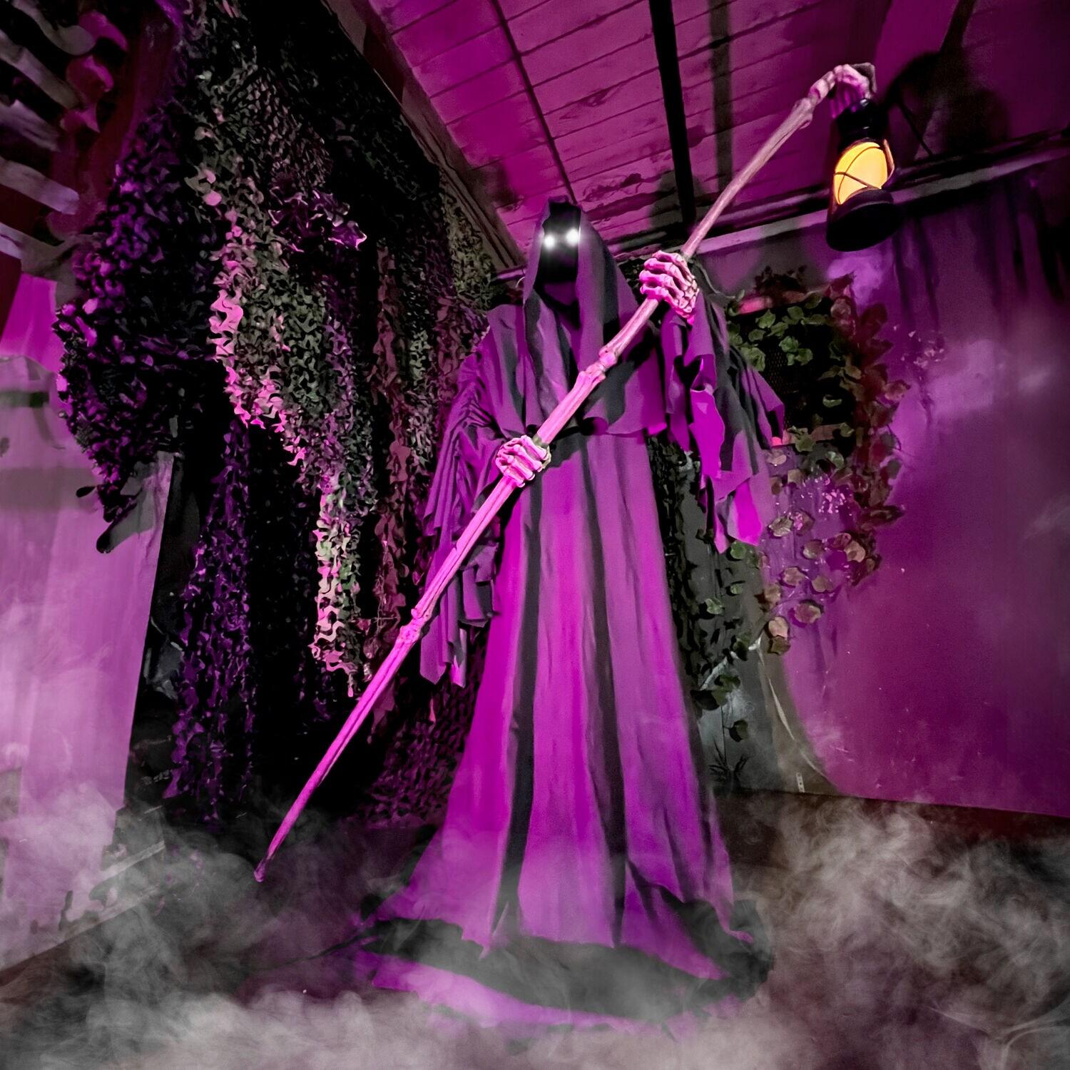 Haunted Hill Farm 6-Ft. Tall Motion-Activated Ghostly Guide Premium Talking Halloween Animatronic & Reviews | Wayfair