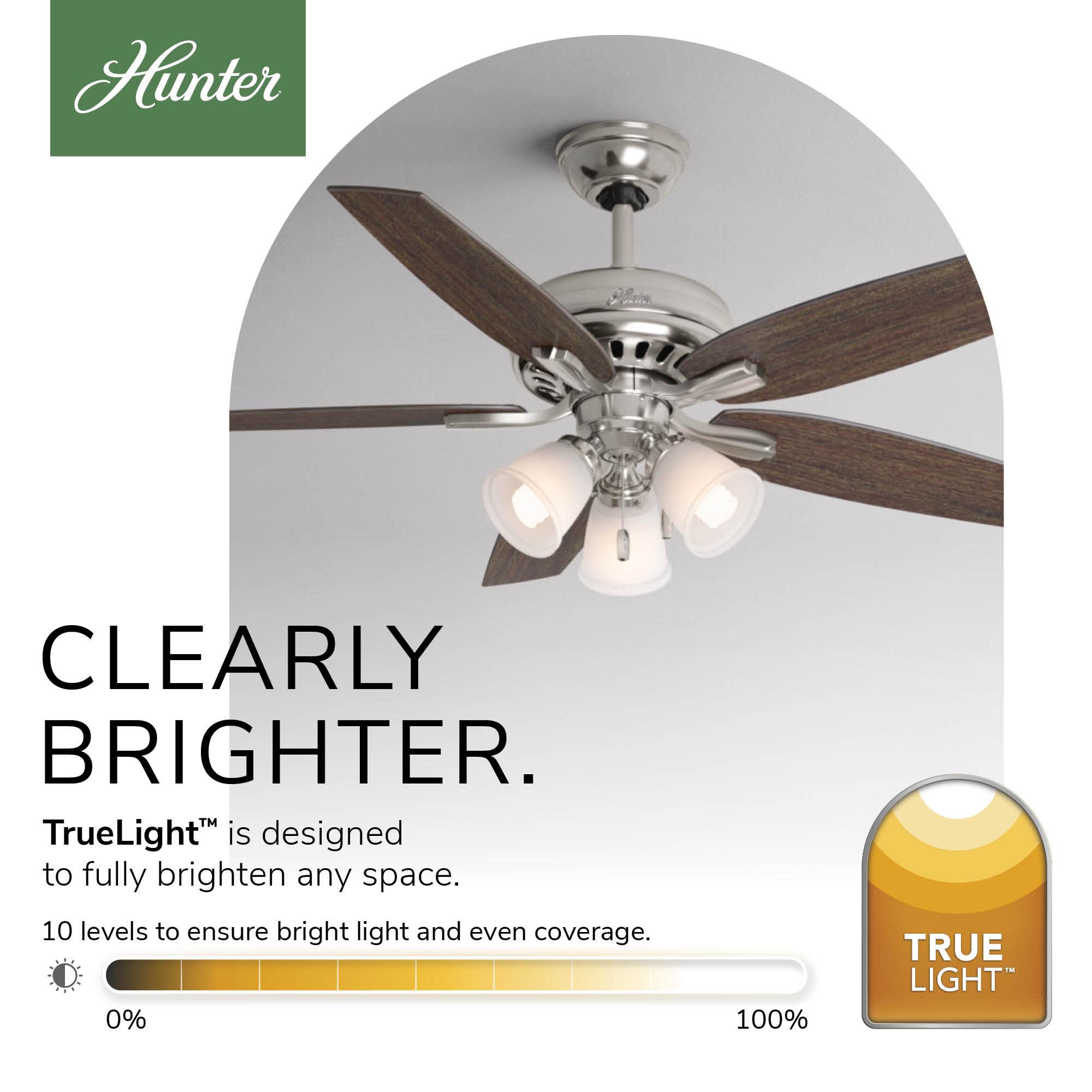 52" Newsome 5 - Blade Standard Ceiling Fan with Pull Chain and Light Kit Included