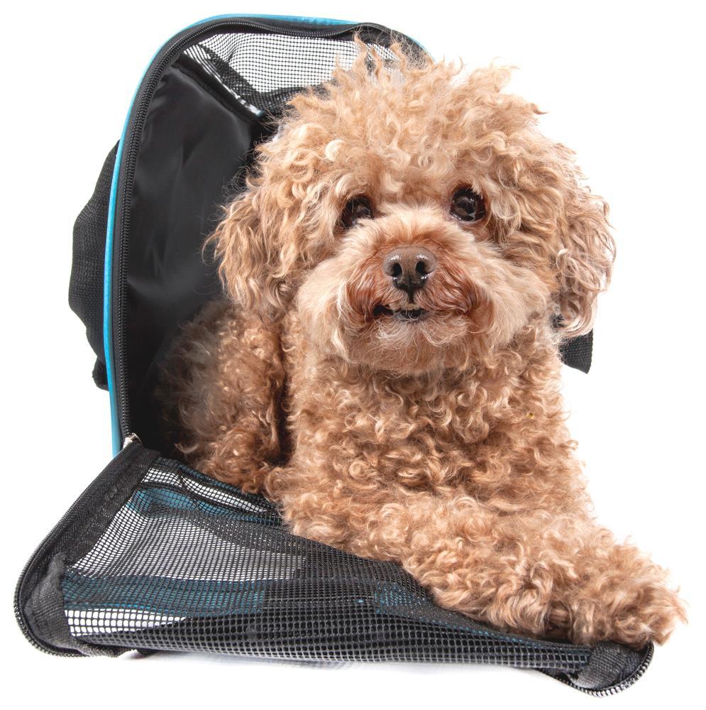 Pet Life Pet Life Airline Approved Altitude Force Sporty Zippered Fashion Pet Carrier