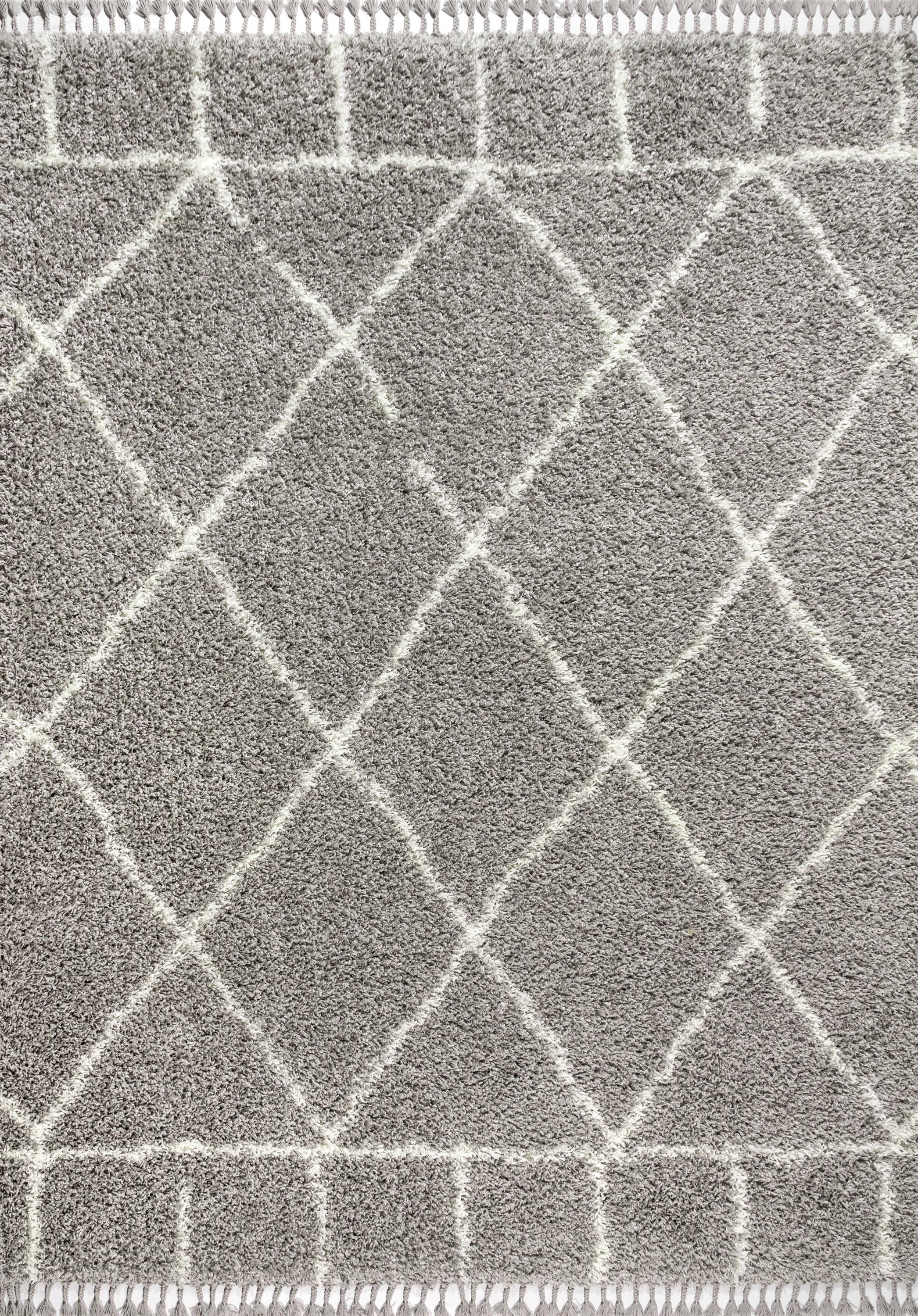 4'x6' Mercer Shag Plush Tassel Moroccan Geometric Trellis Area Rug, Grey/Cream - JONATHAN Y