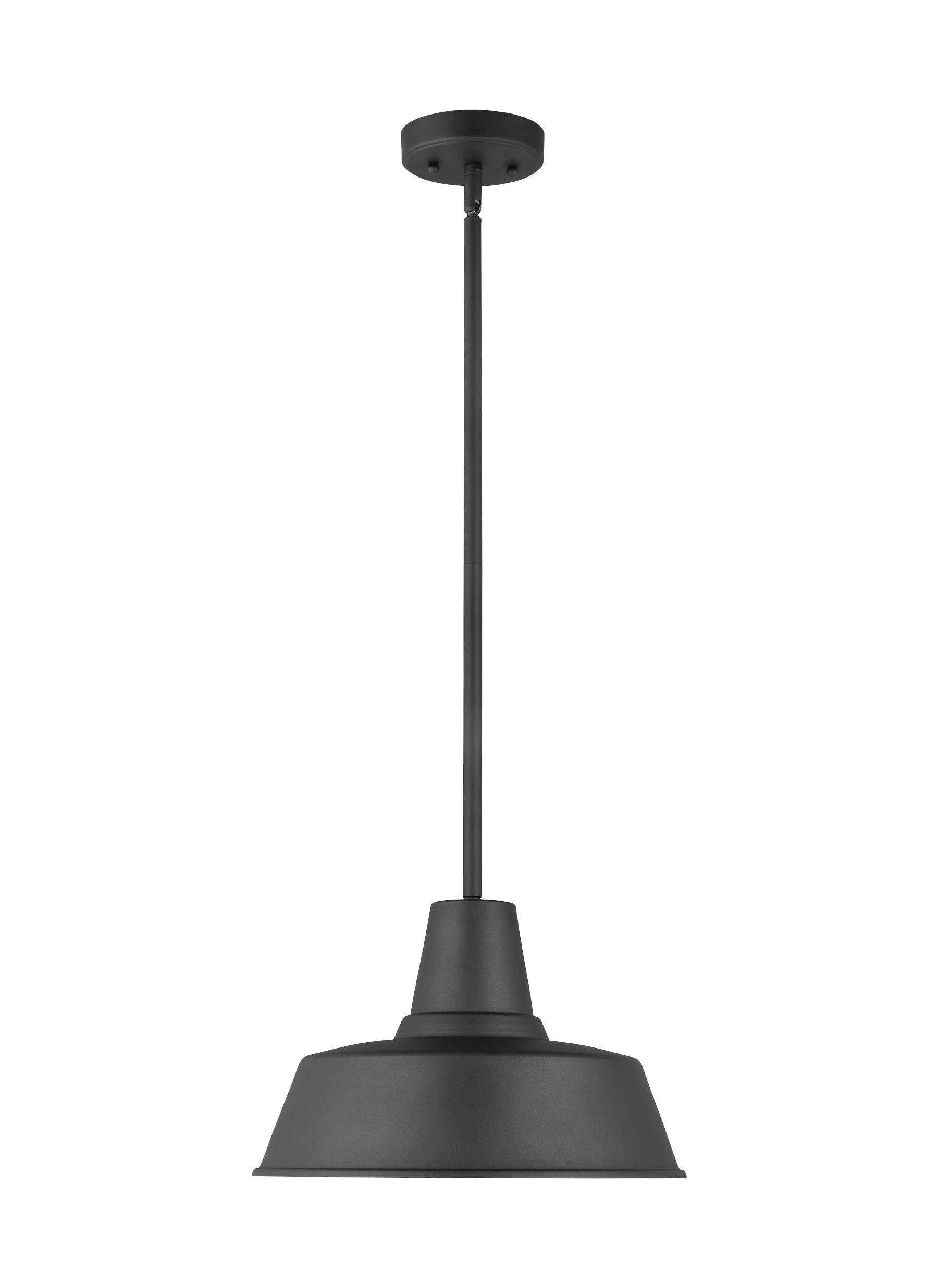 Fisher Outdoor Pendant Light - Black / 14" Dia