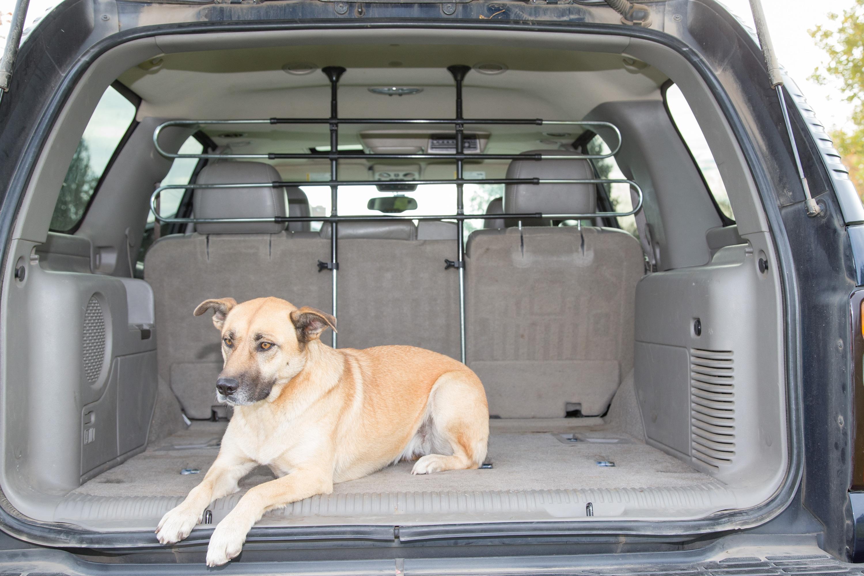 PortablePET Pet Partition Vehicle Barrier