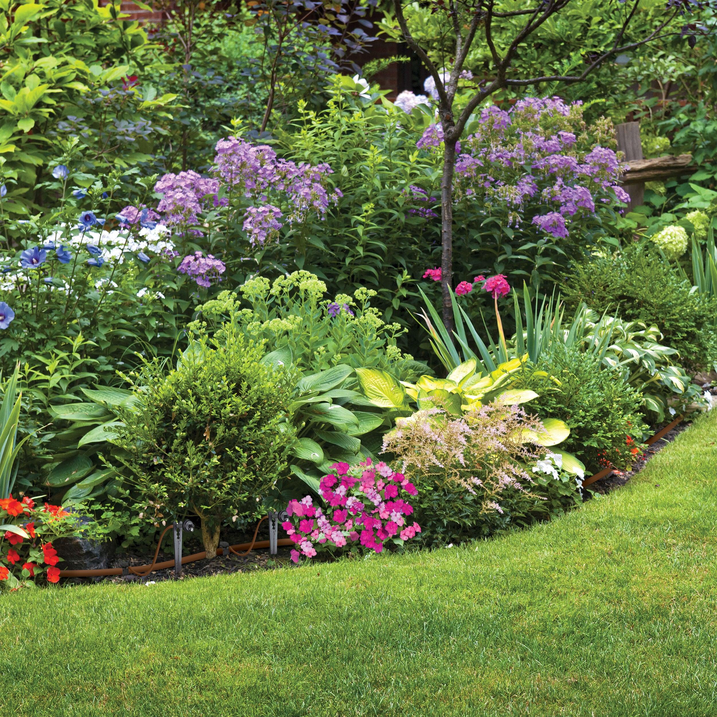 Raindrip Drip irrigation tree and shrub kit
