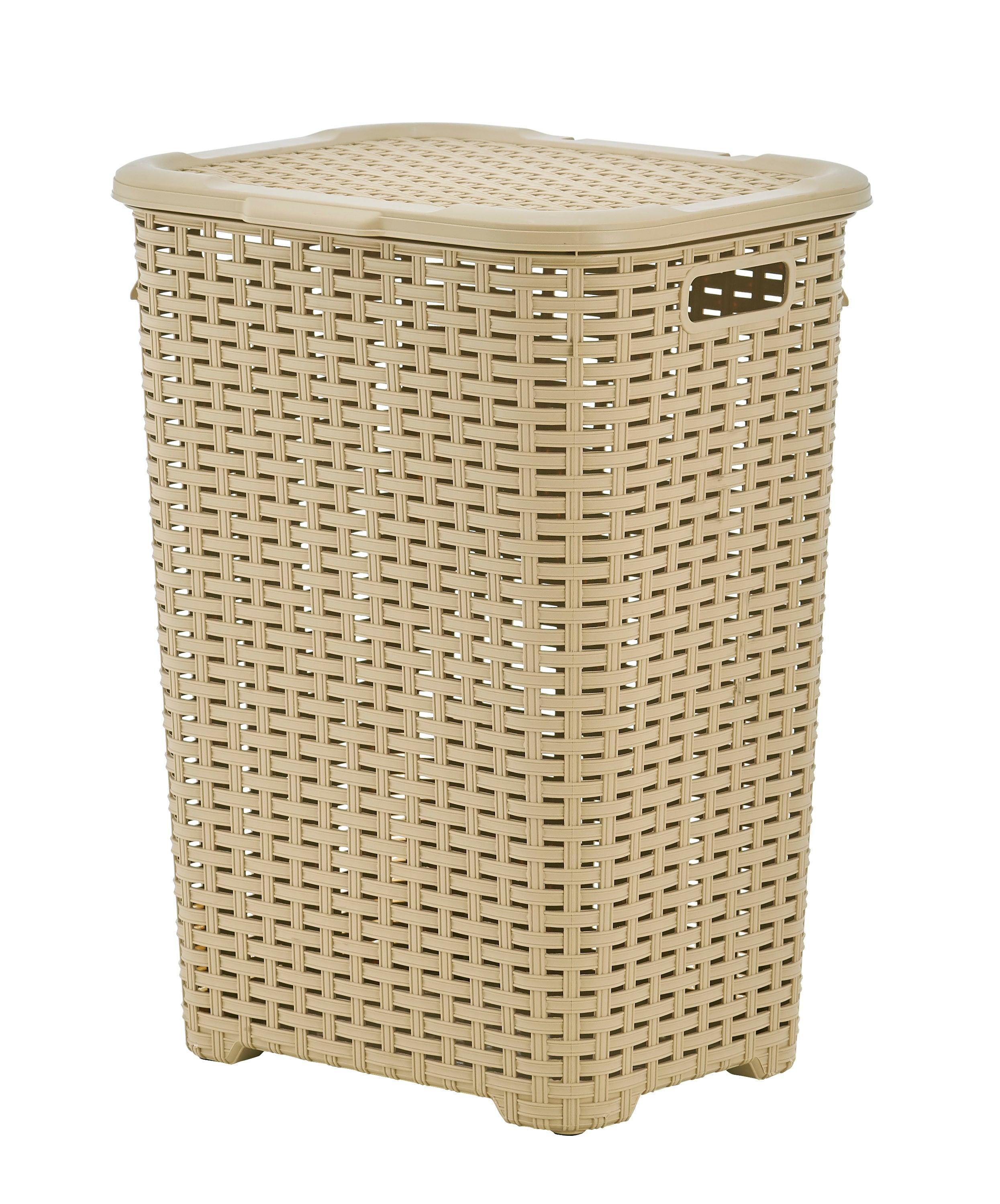 Rebrilliant Plastic Laundry Hamper with Handles