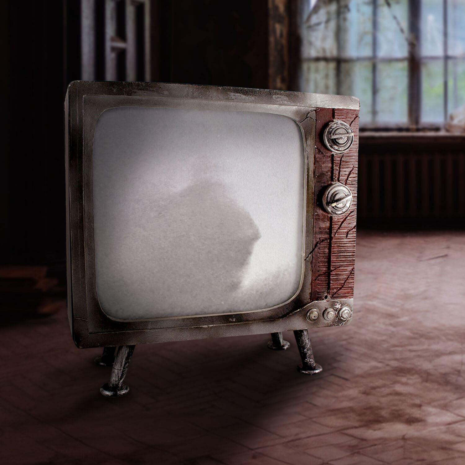 Haunted Hill Farm 11.8" H 4.7 lbs Haunted TV Animatronic White LED lights, Halloween Decor, HHHAUNTTV-1FLSA