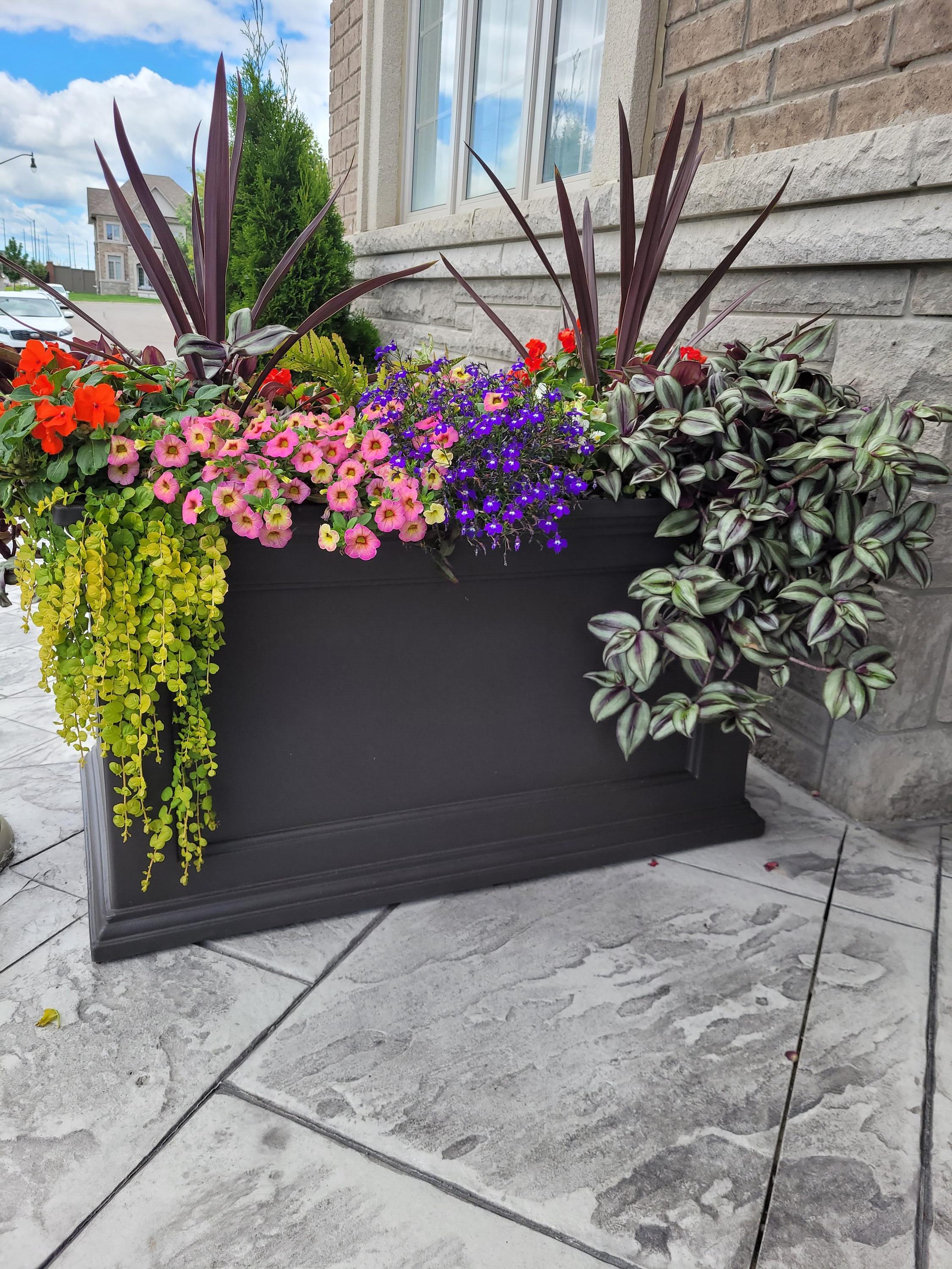 Winston Porter Anastasiya 20"x36" Resin Planter with Water Reservoir