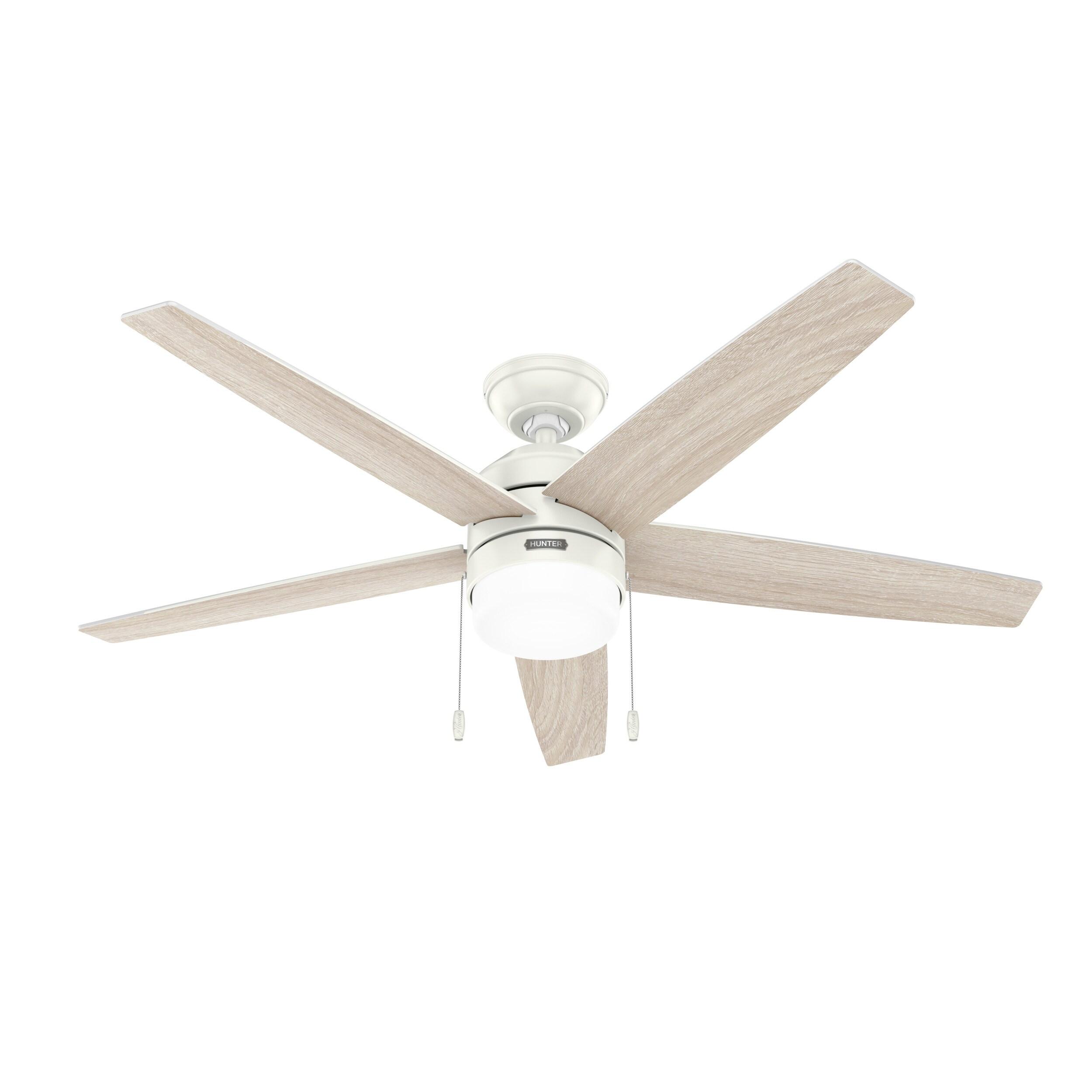 Bardot 52" 5 - Blade Ceiling Fan With Lights and Pull Chains