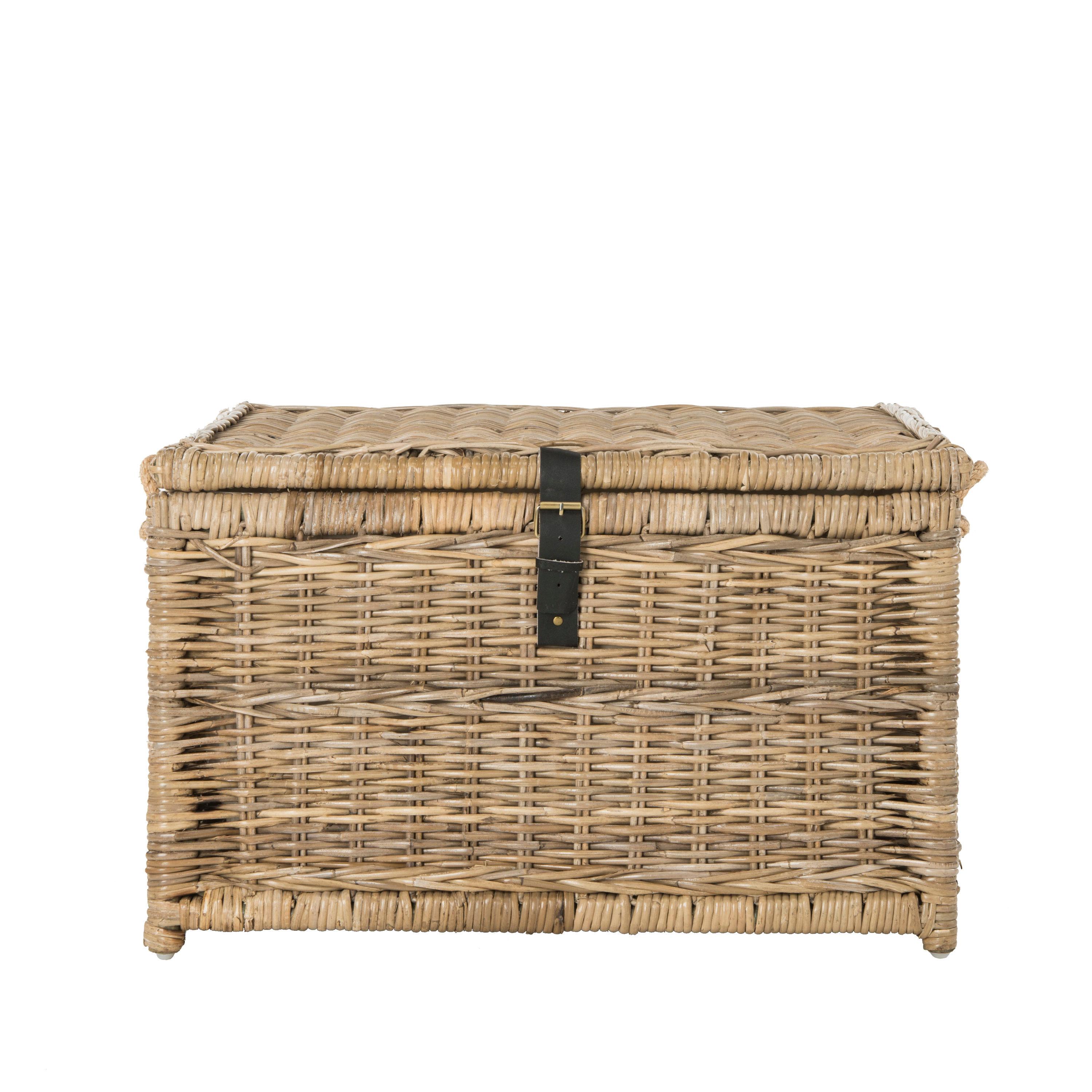 happimess Caden 30" Wicker Storage Trunk, Natural