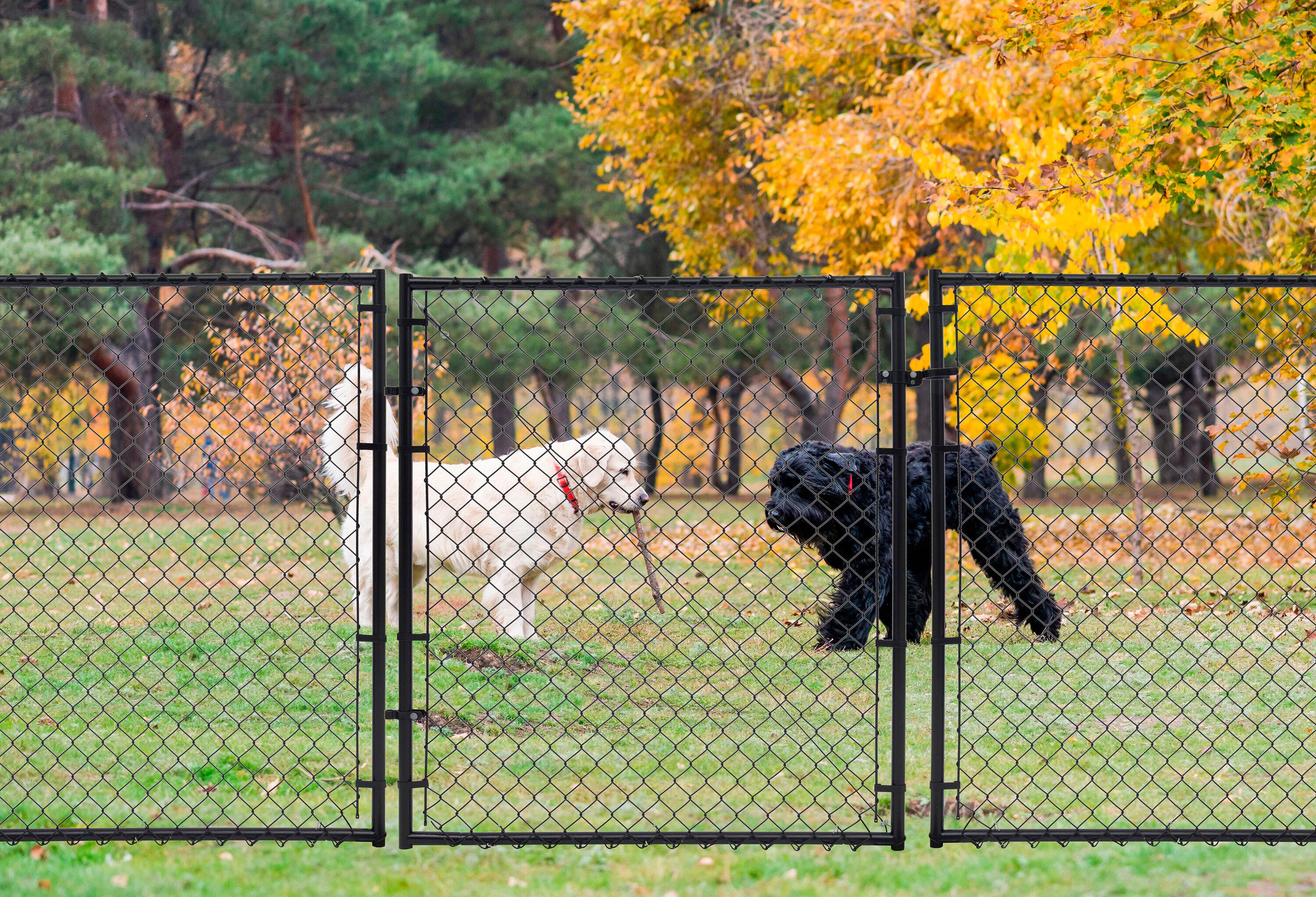 Black Metal Gate