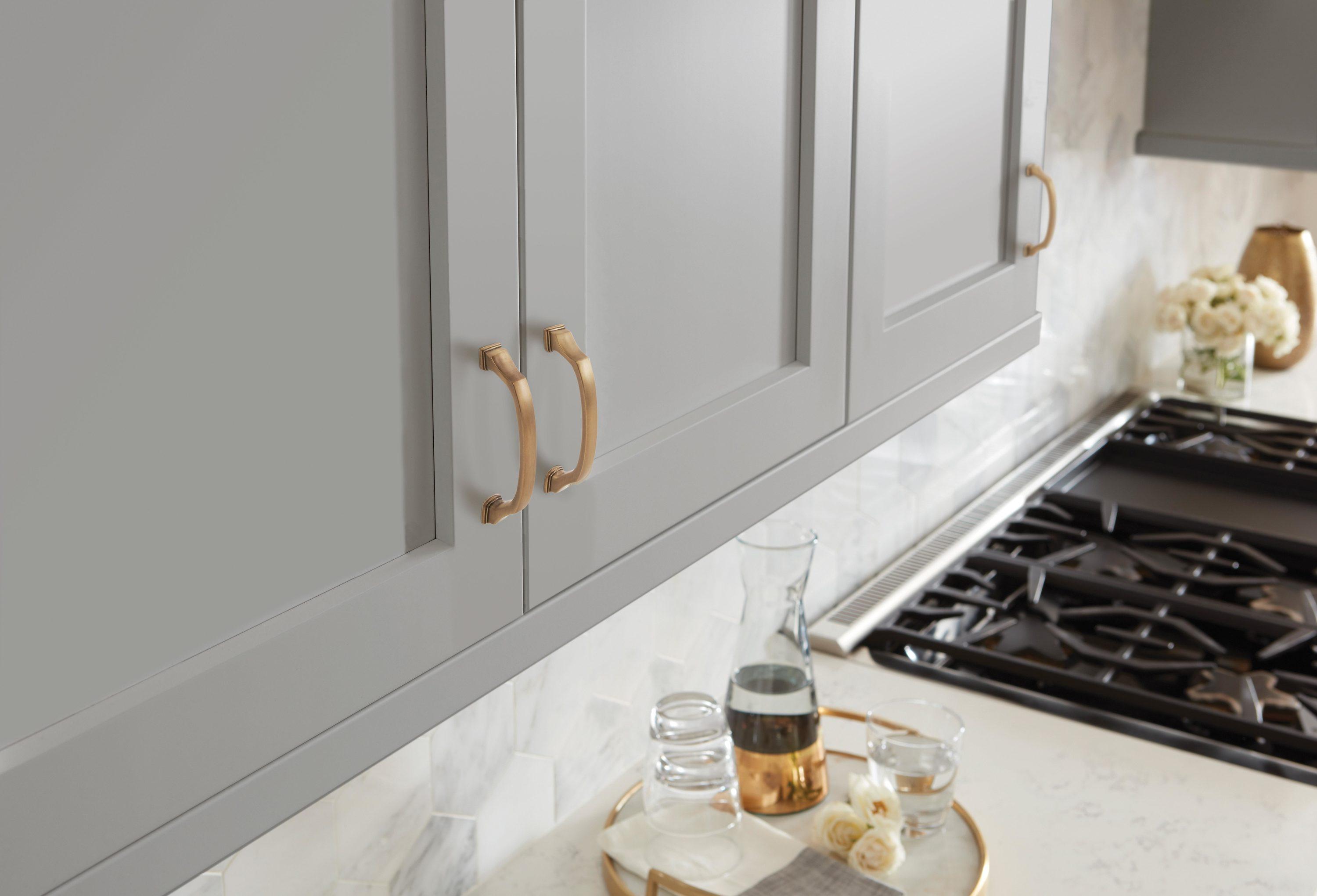 Revitalize Cabinet Bar Pull