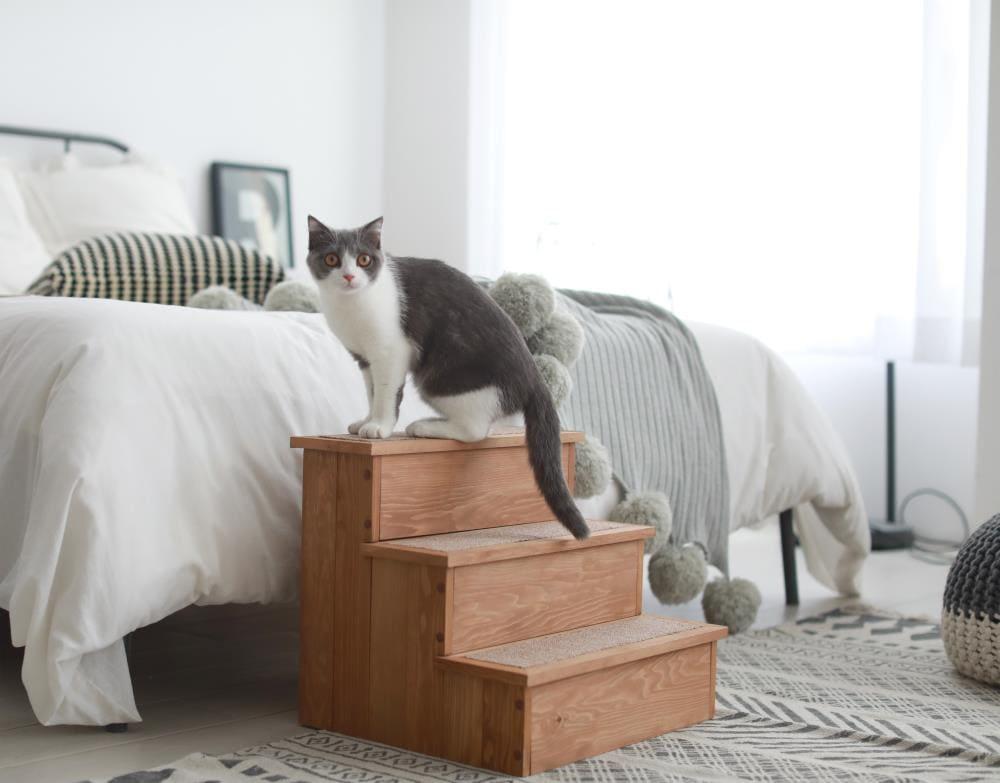 Canadian Hemlock Wooden Pet Stairs with Storage