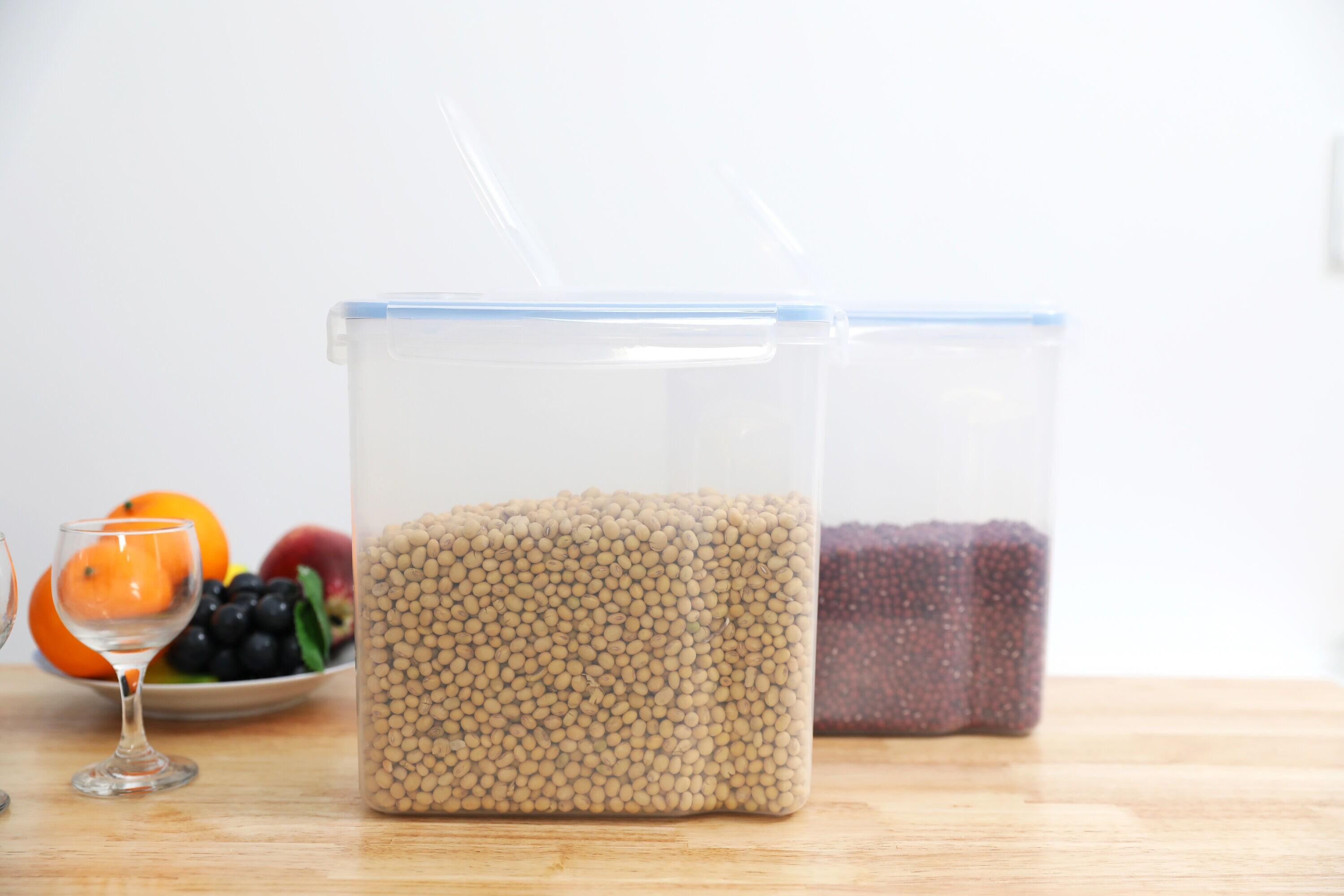 Food Storage - Set of 2 Containers and 2 Lids (Set of 2)