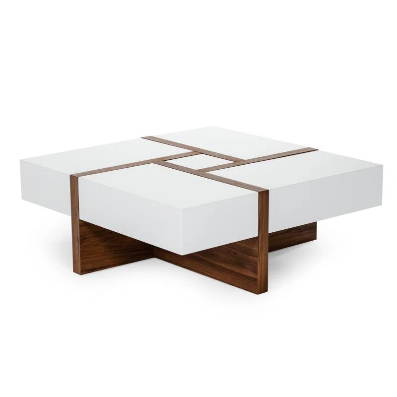 AllModern Elka Storage Coffee Table