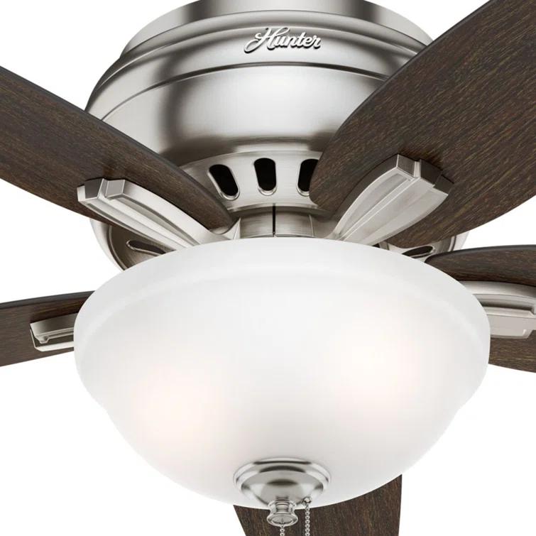 Newsome 42" 5 - Blade Traditional Flush Mount Indoor Ceiling Fan with Lights and Pull Chains