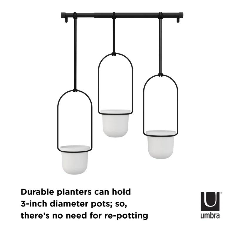 Tri-Flora Hanging Planter