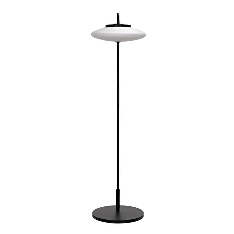 Lolibri 71'' Matte Black Novelty Floor Lamp