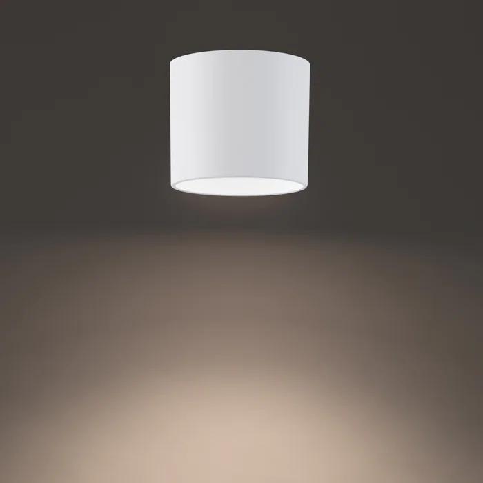 Squat LED Cylinder Outdoor Flush Mount